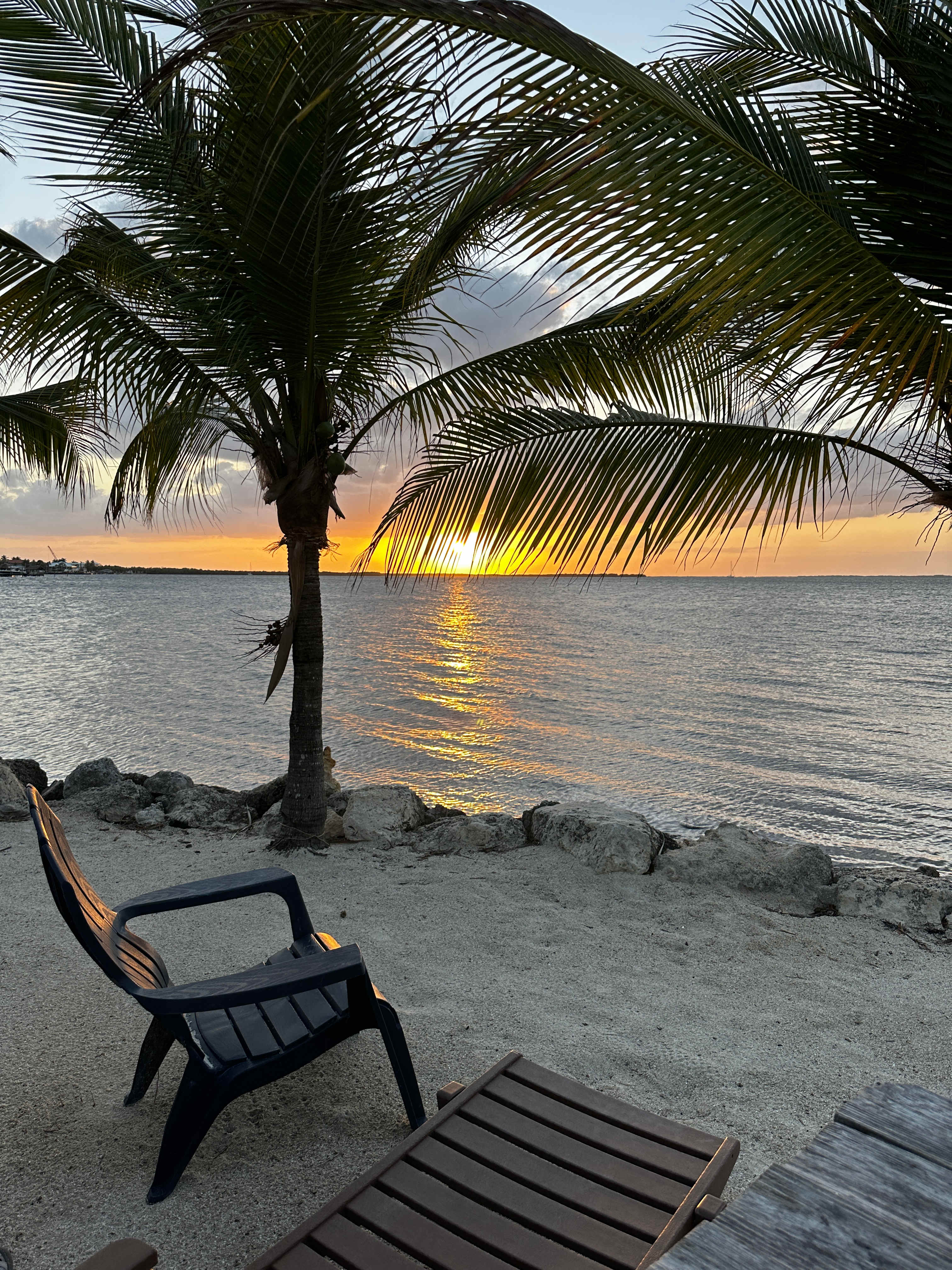 Kings Kamp RV Park and Marina