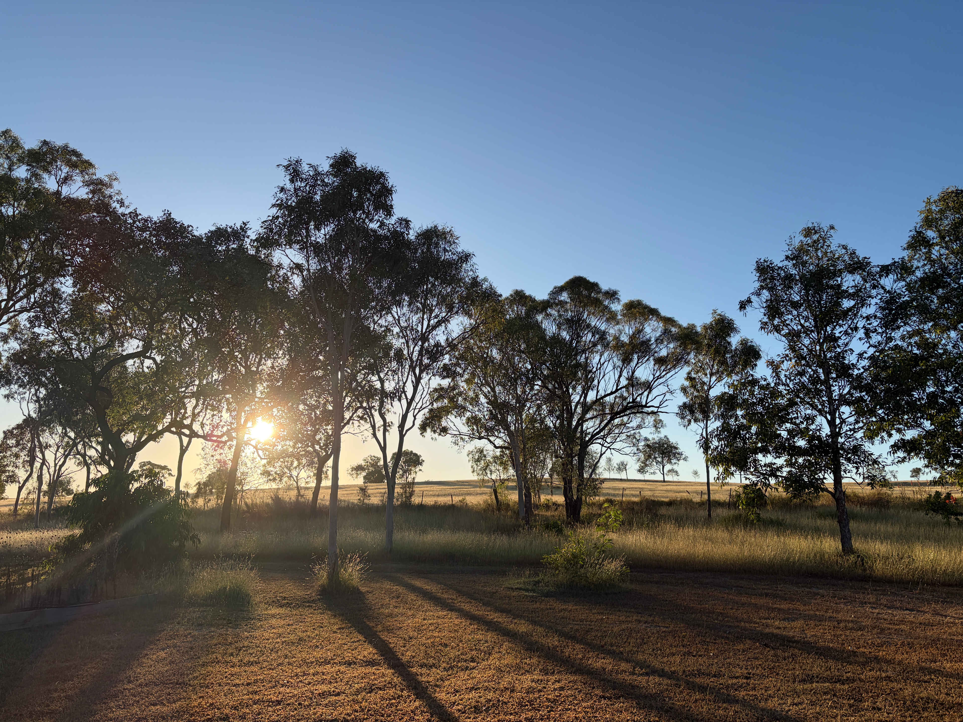 Laurel Bank Farm laurel-bank.com.au