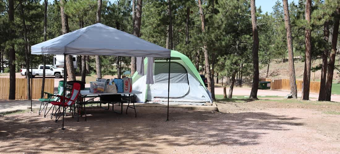 Picture of the site