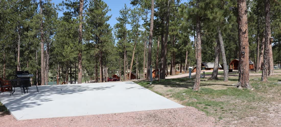 Picture of the site