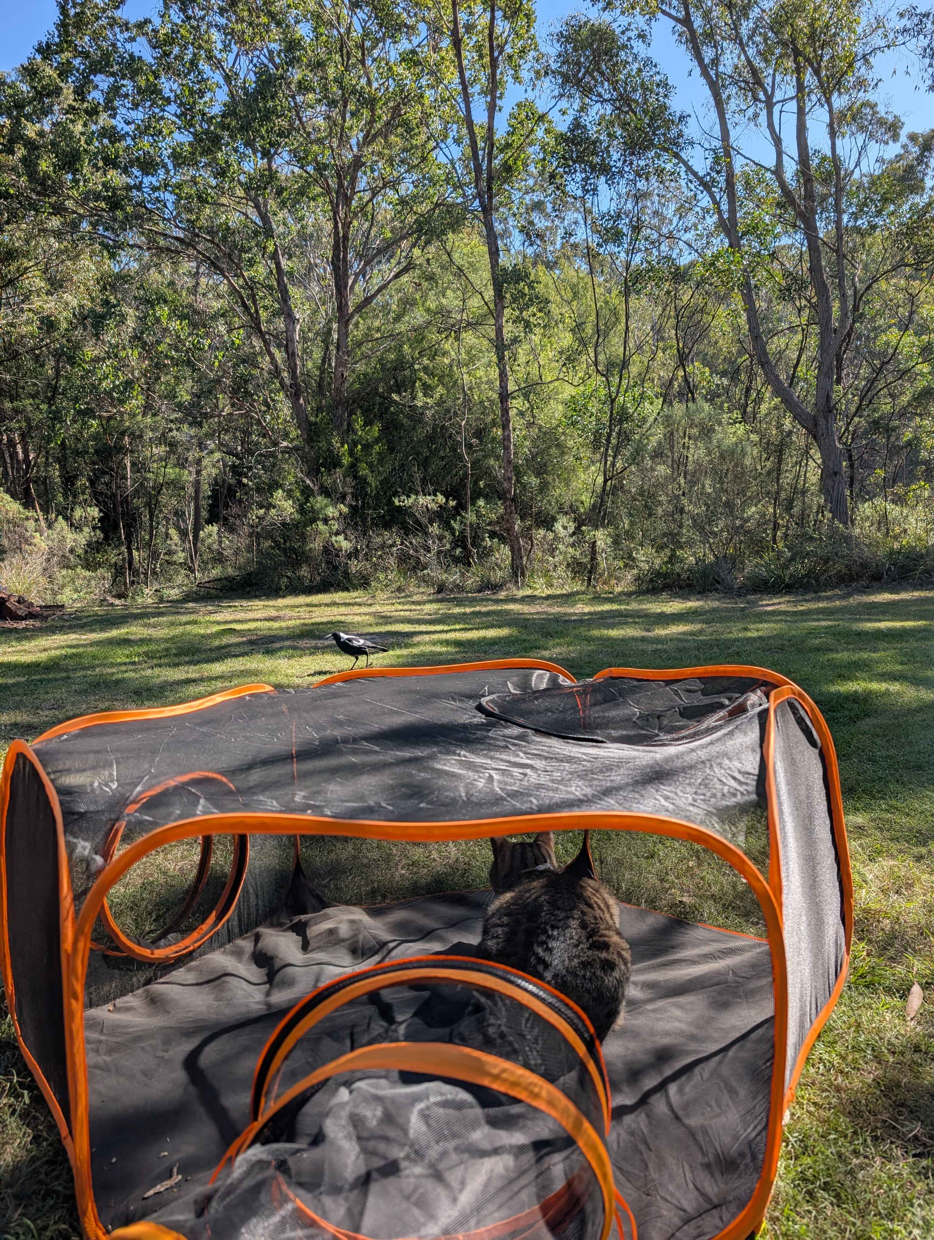 Red Bluff Bush Camp