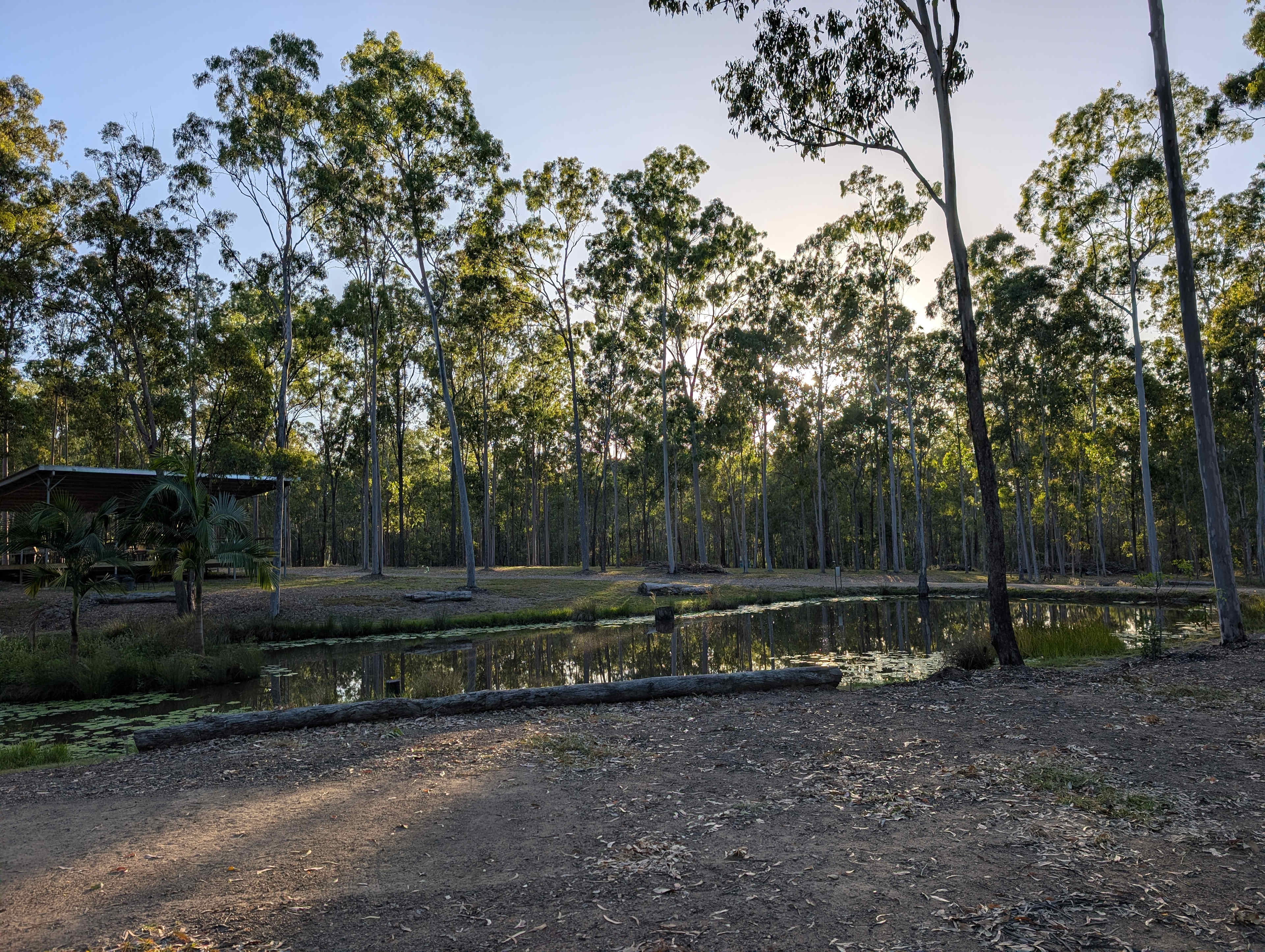 Award winning Childers Nature Camp