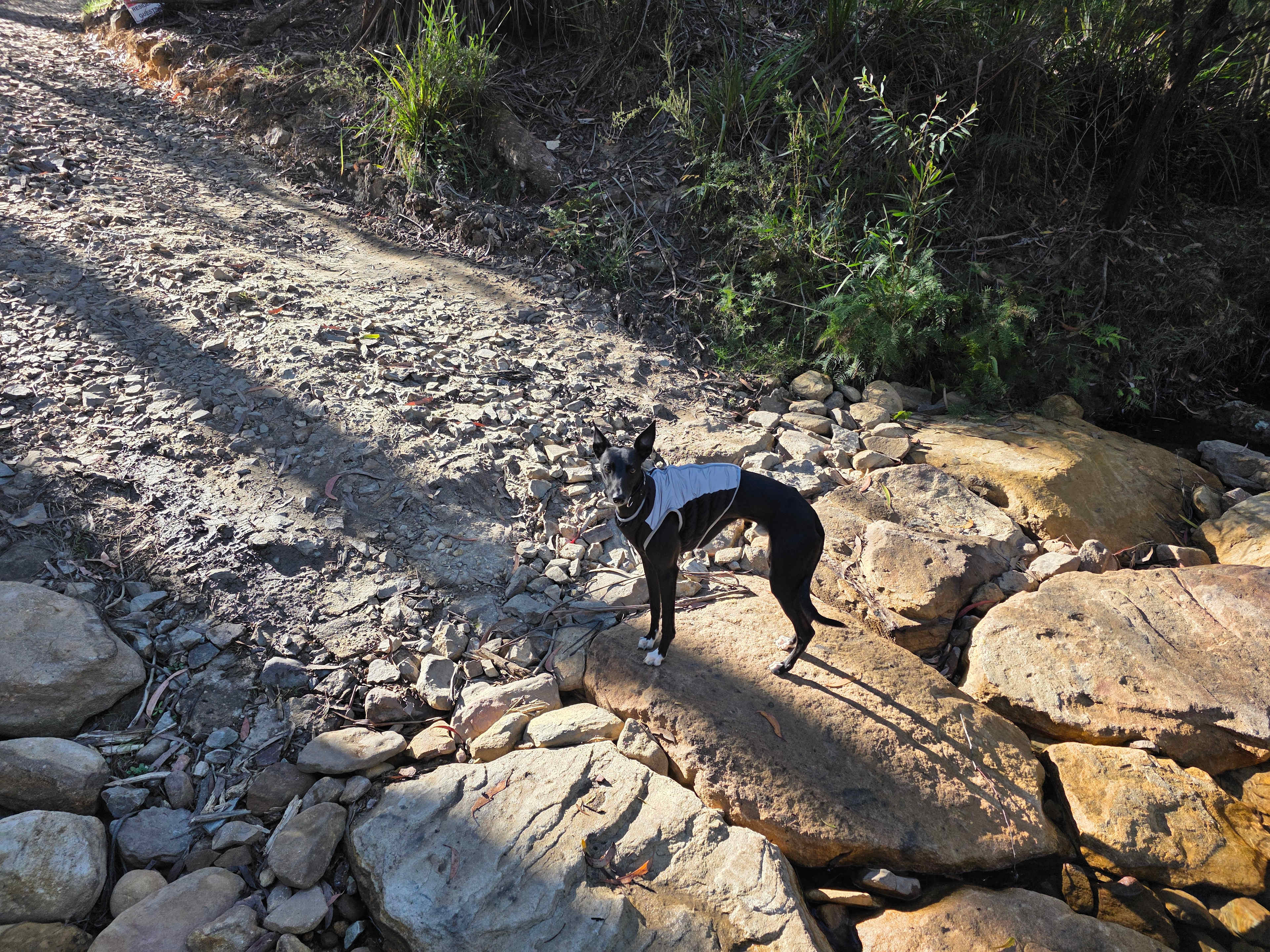 Nellies Glen Camping