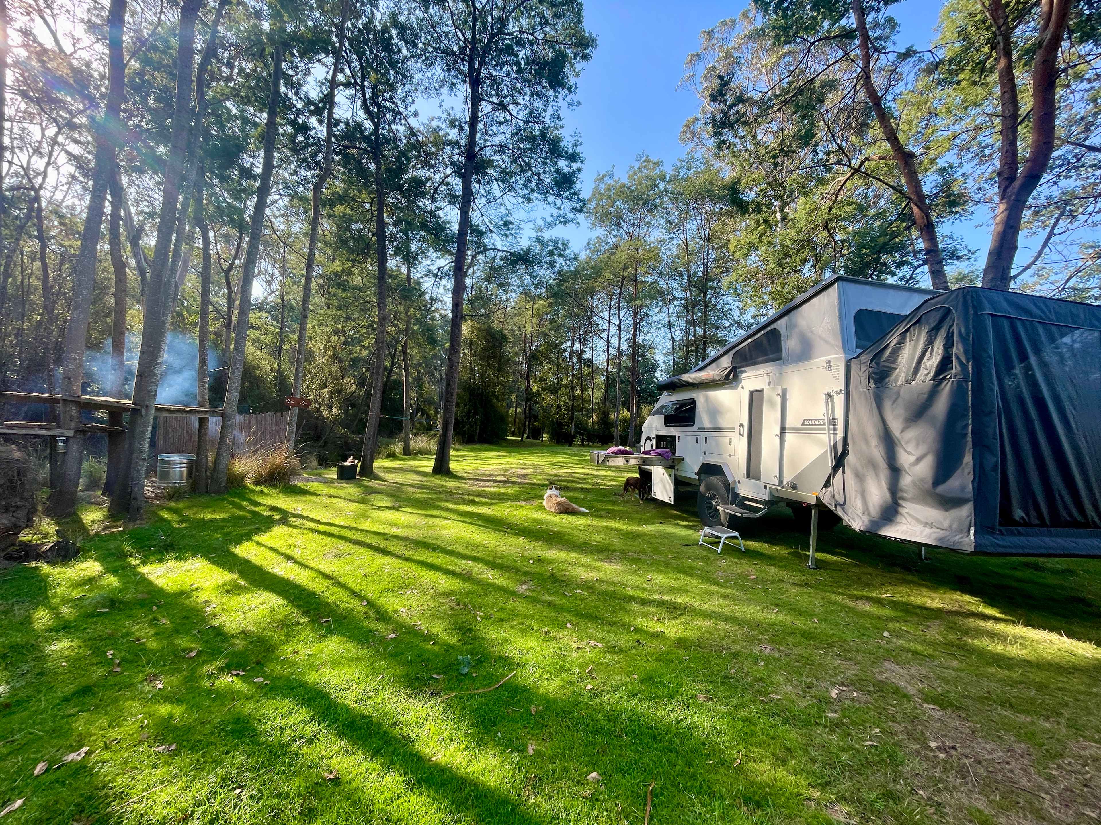 Love the green grass and space