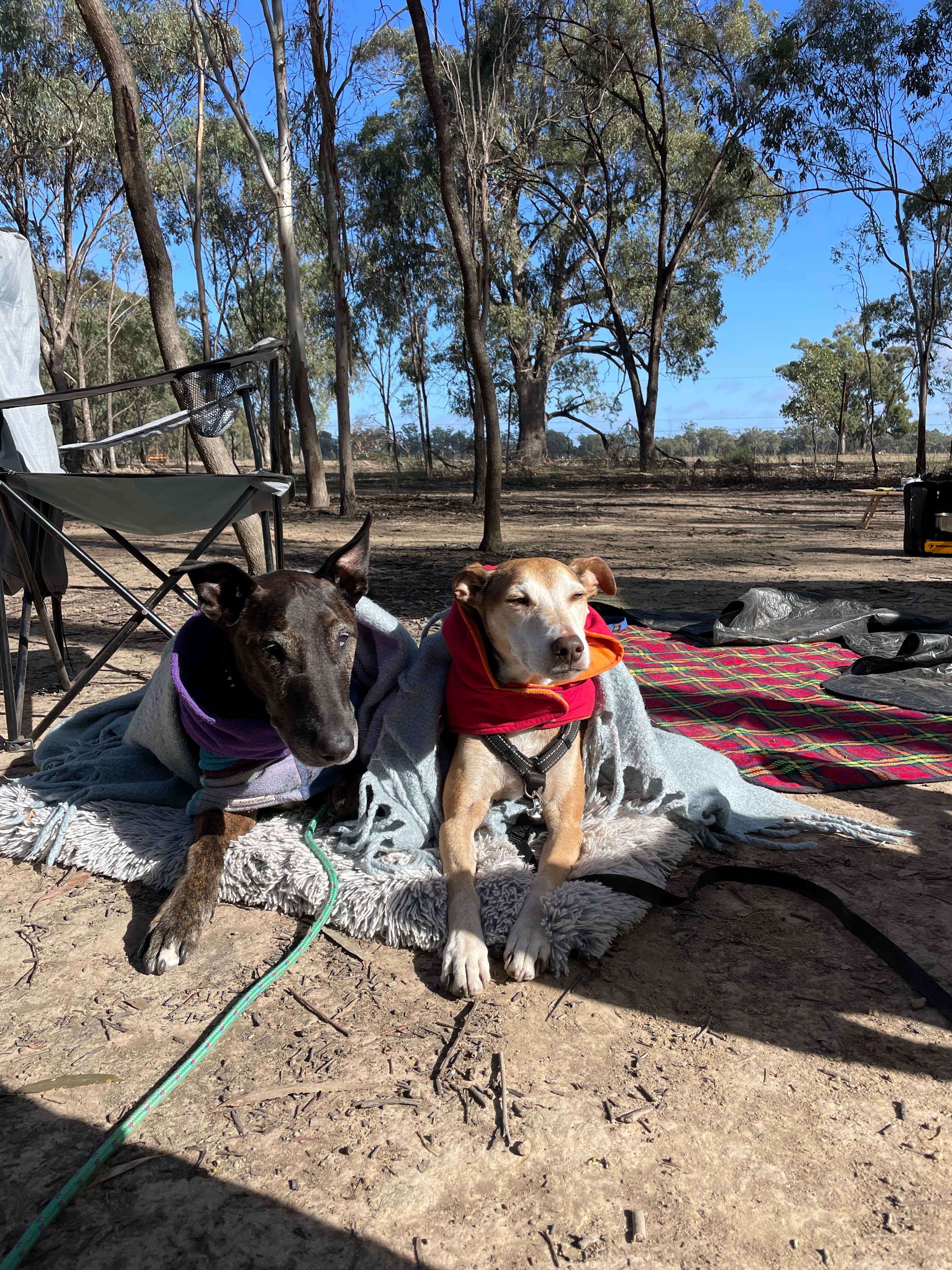 Tooranie Stay Echuca Moama