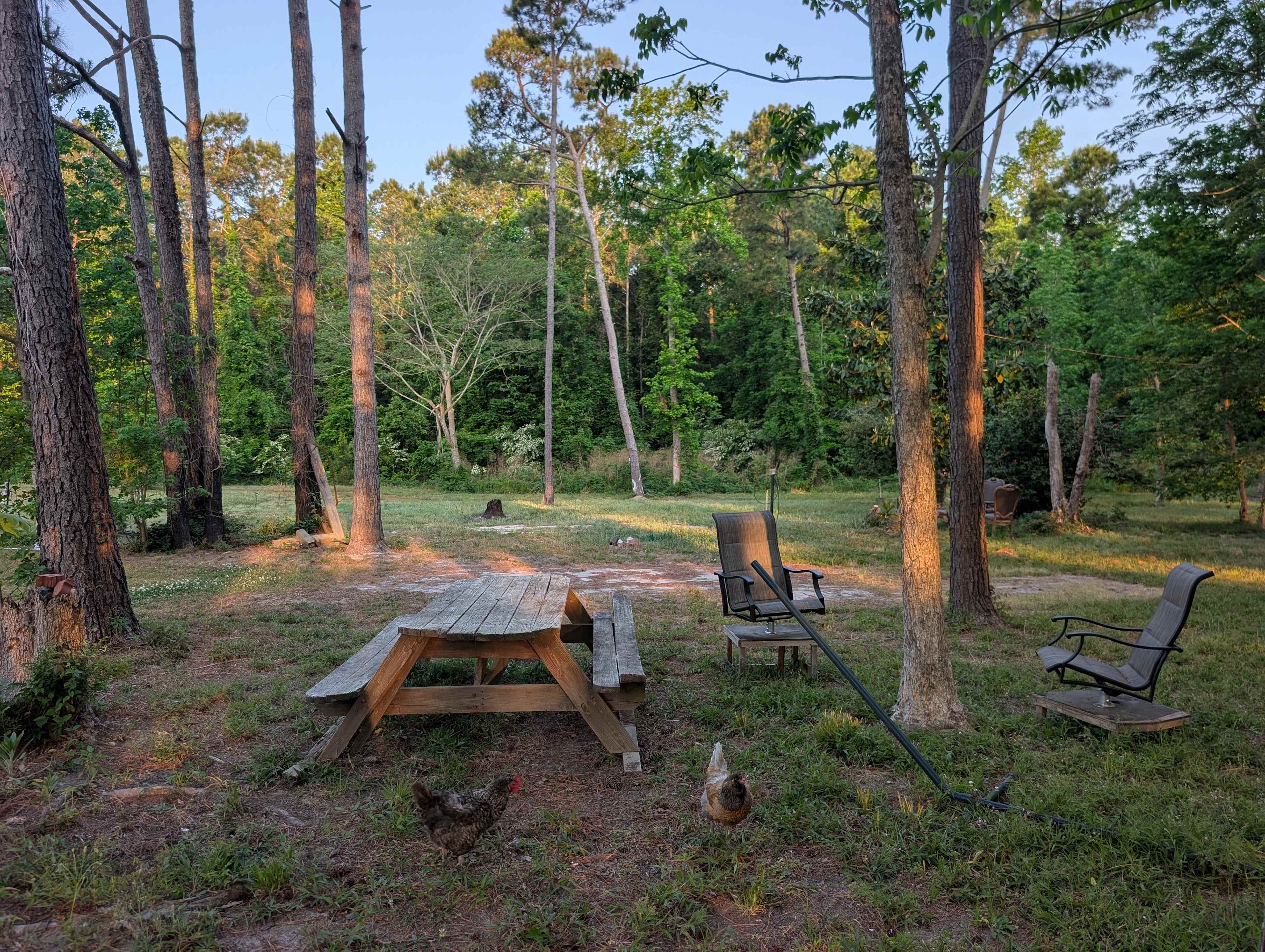 Picture of the site