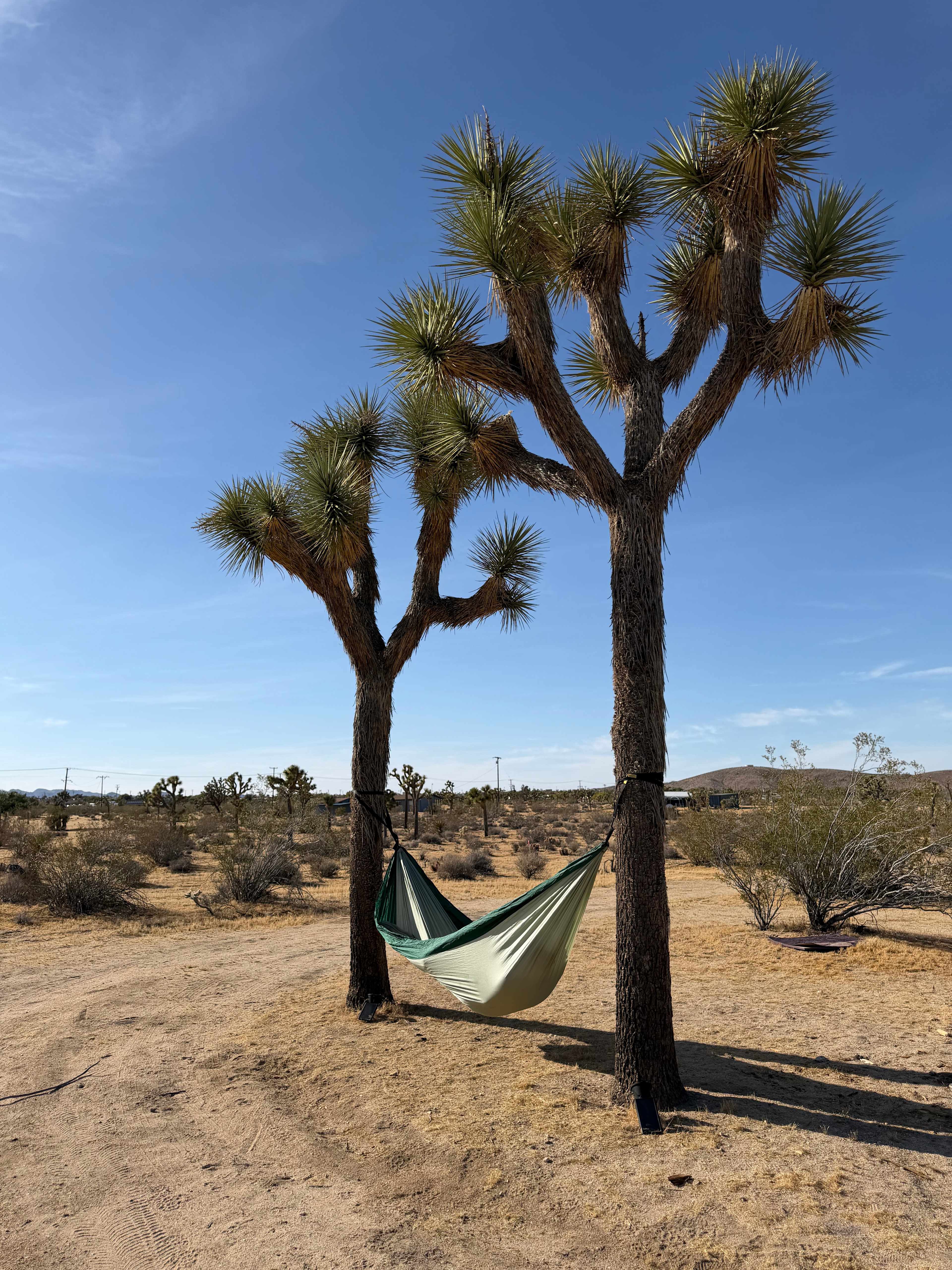 Hammock is ours, not included in the stay! 