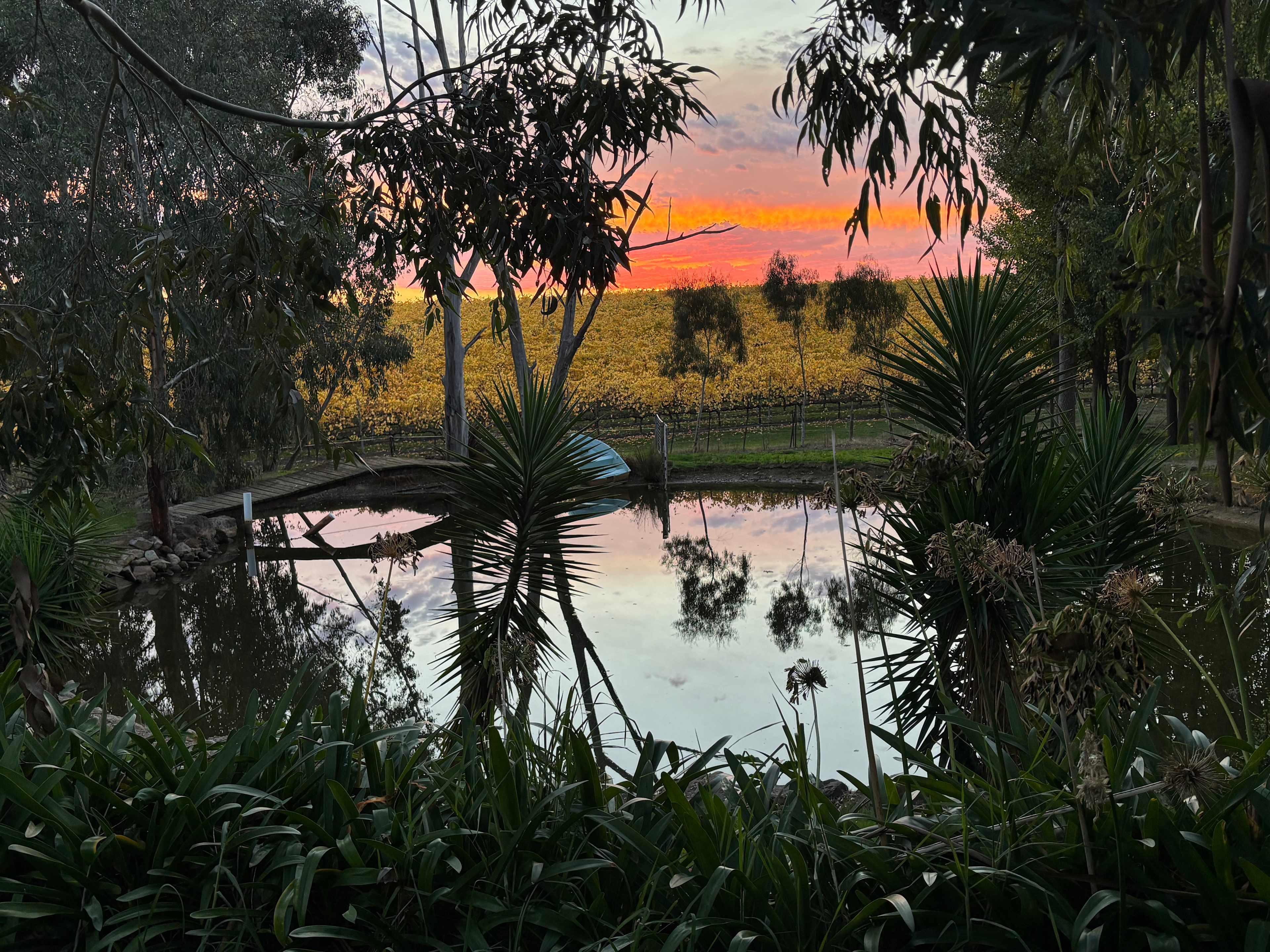 Yarra Valley Vineyard Views
