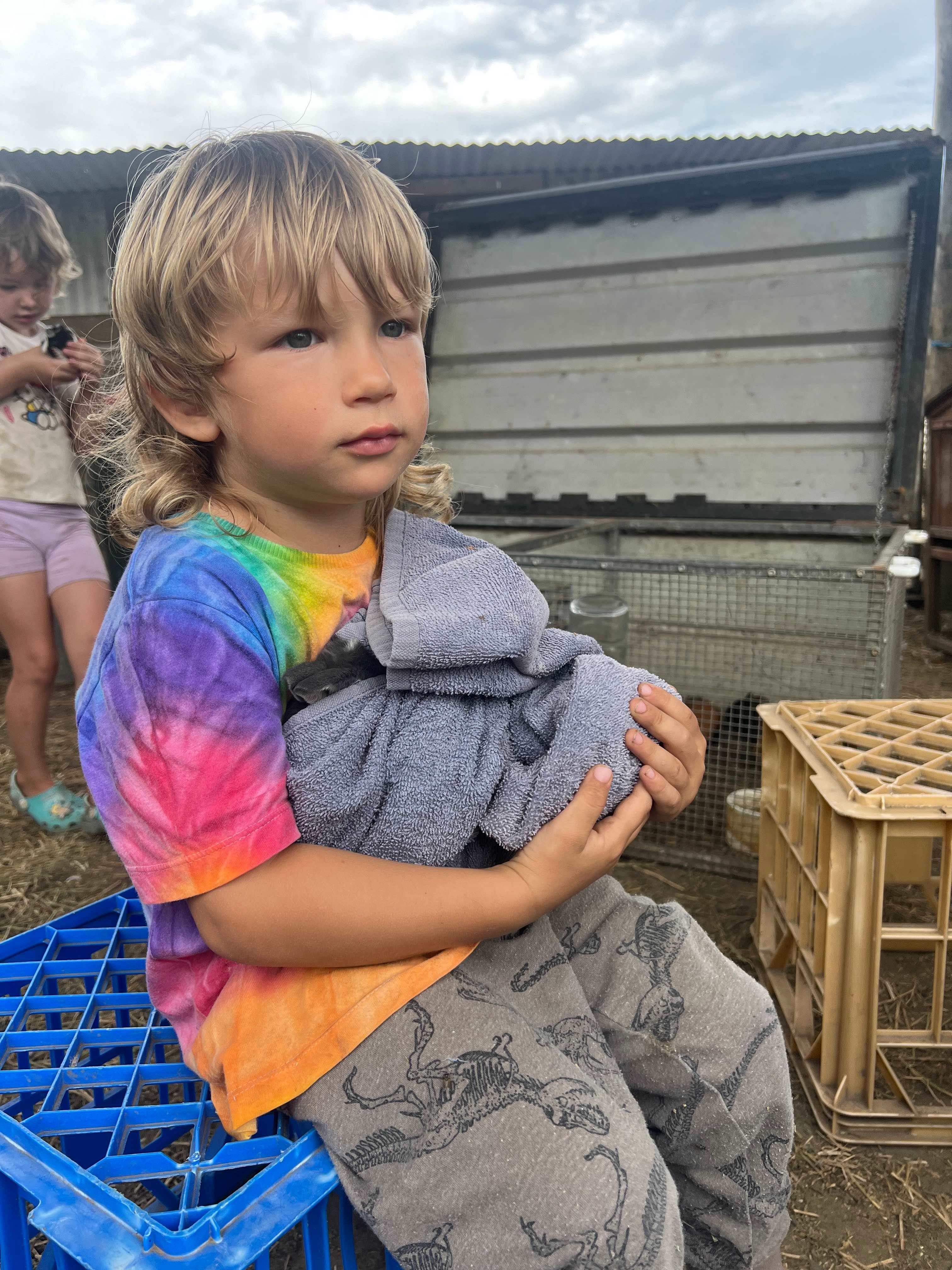 The Hatch Farm - Port Macquarie
