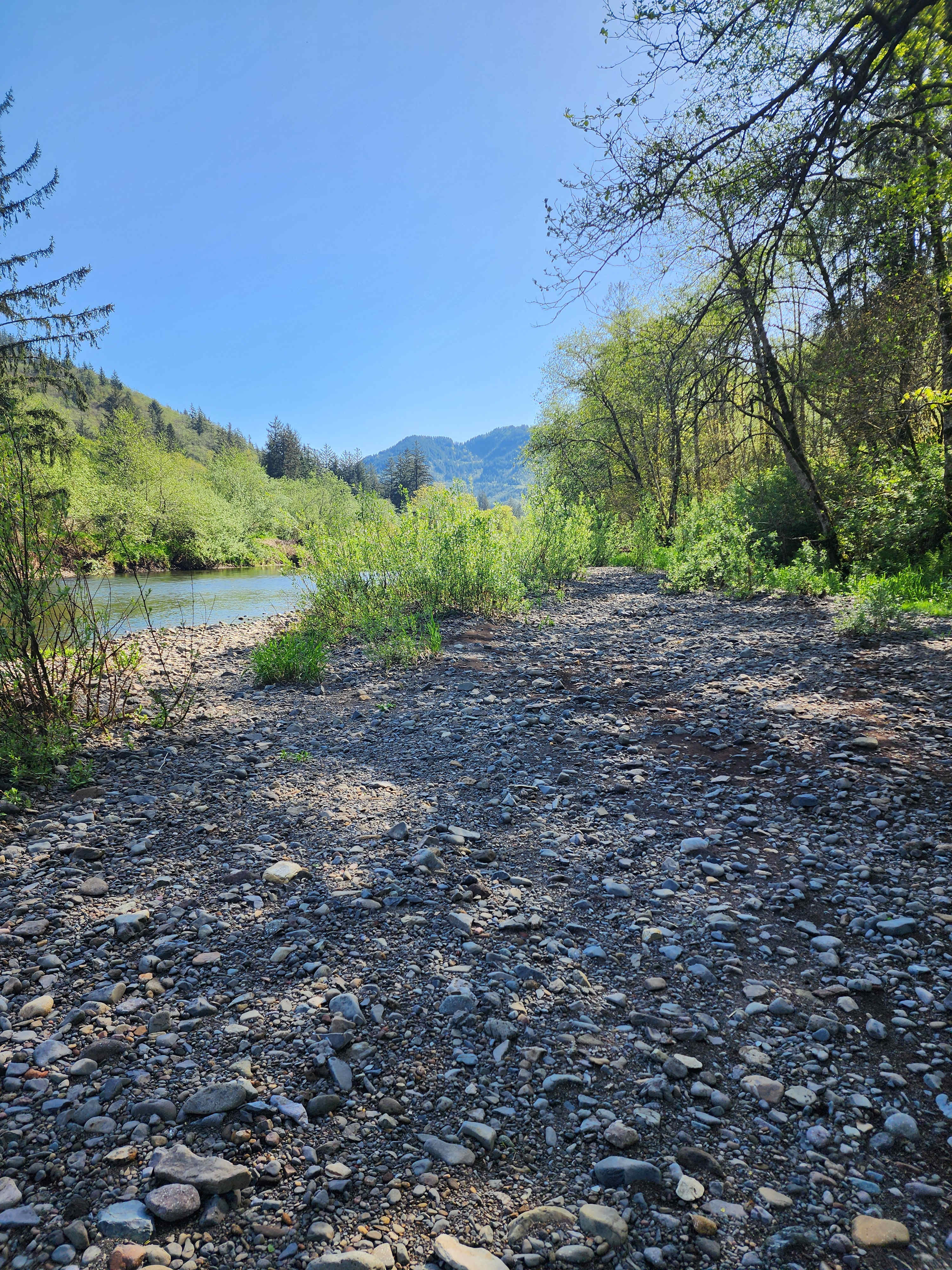 Kilchis River Retreat
