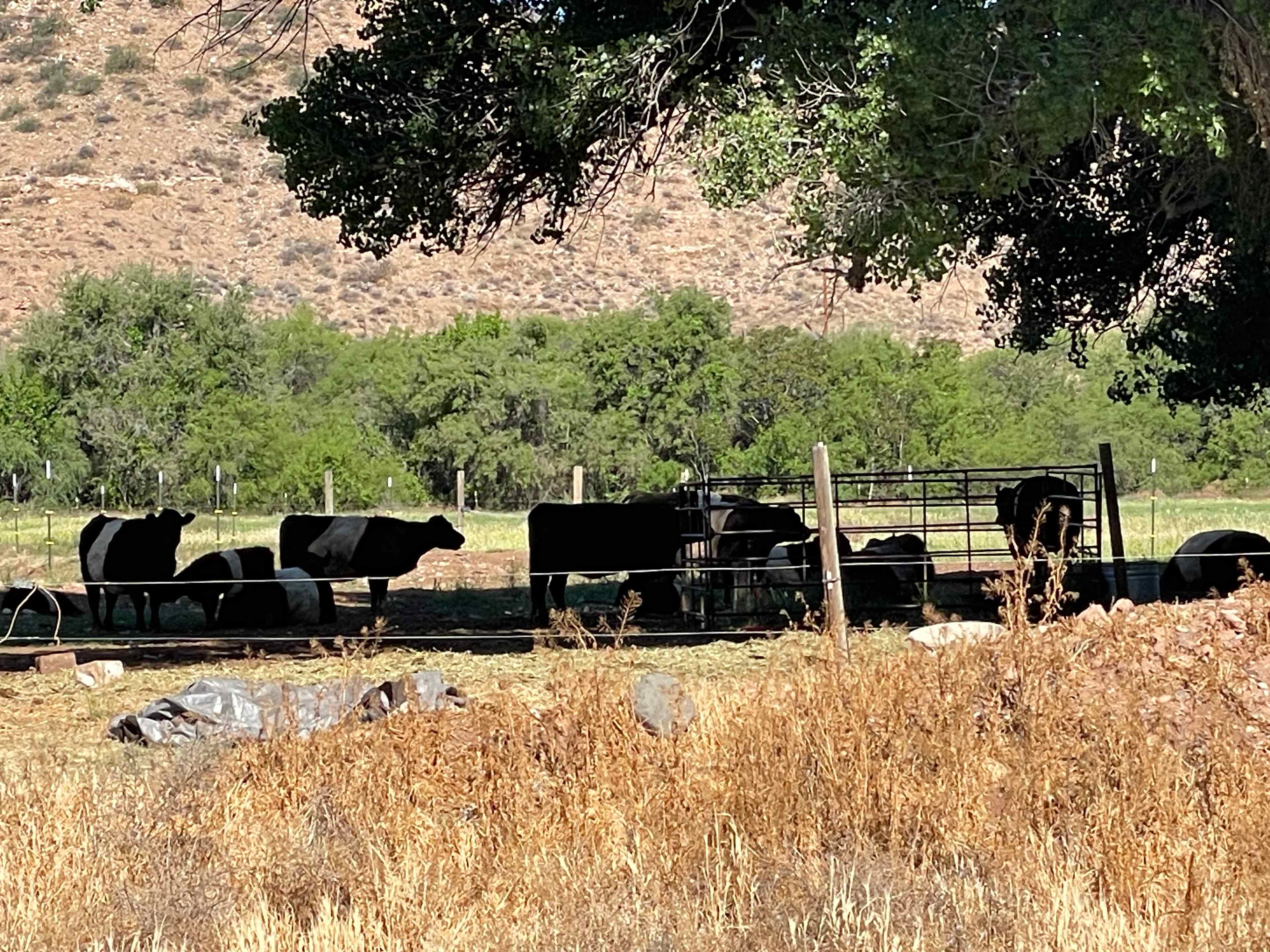 Hawks Hideaway Camping, LLC