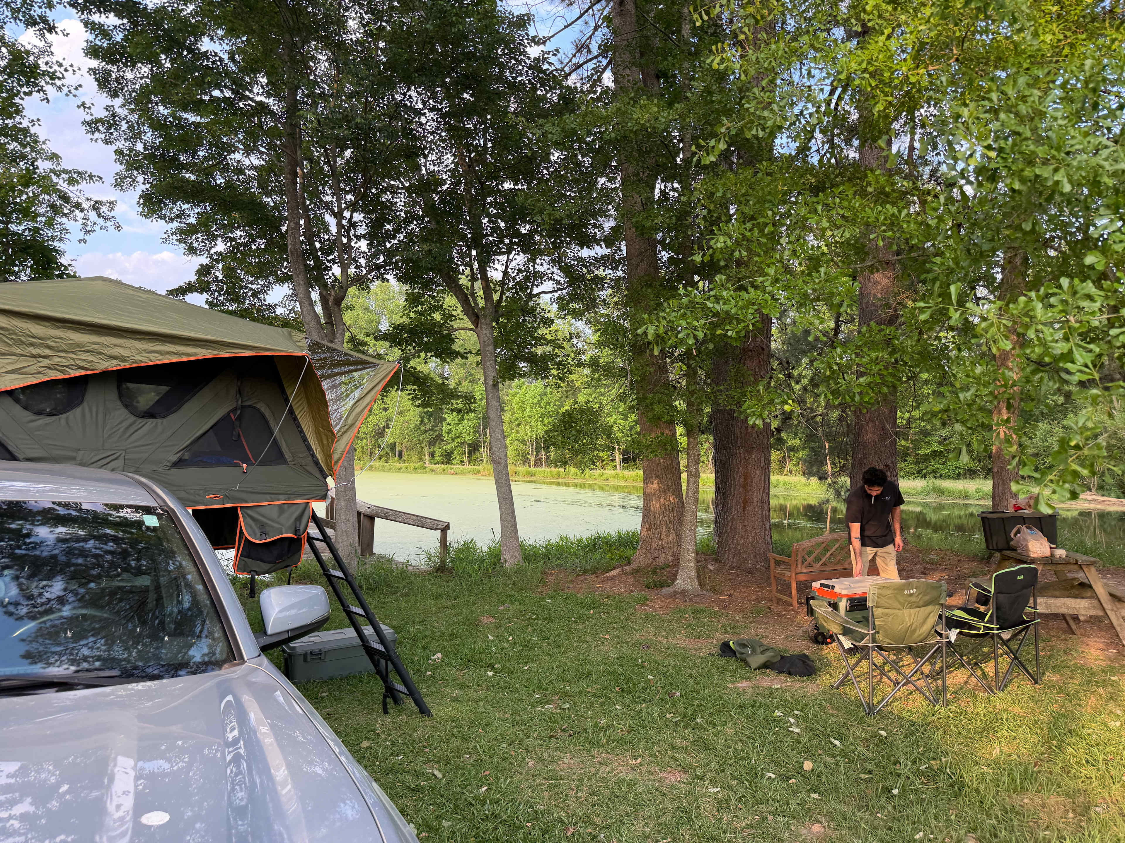 Pecan Orchard
