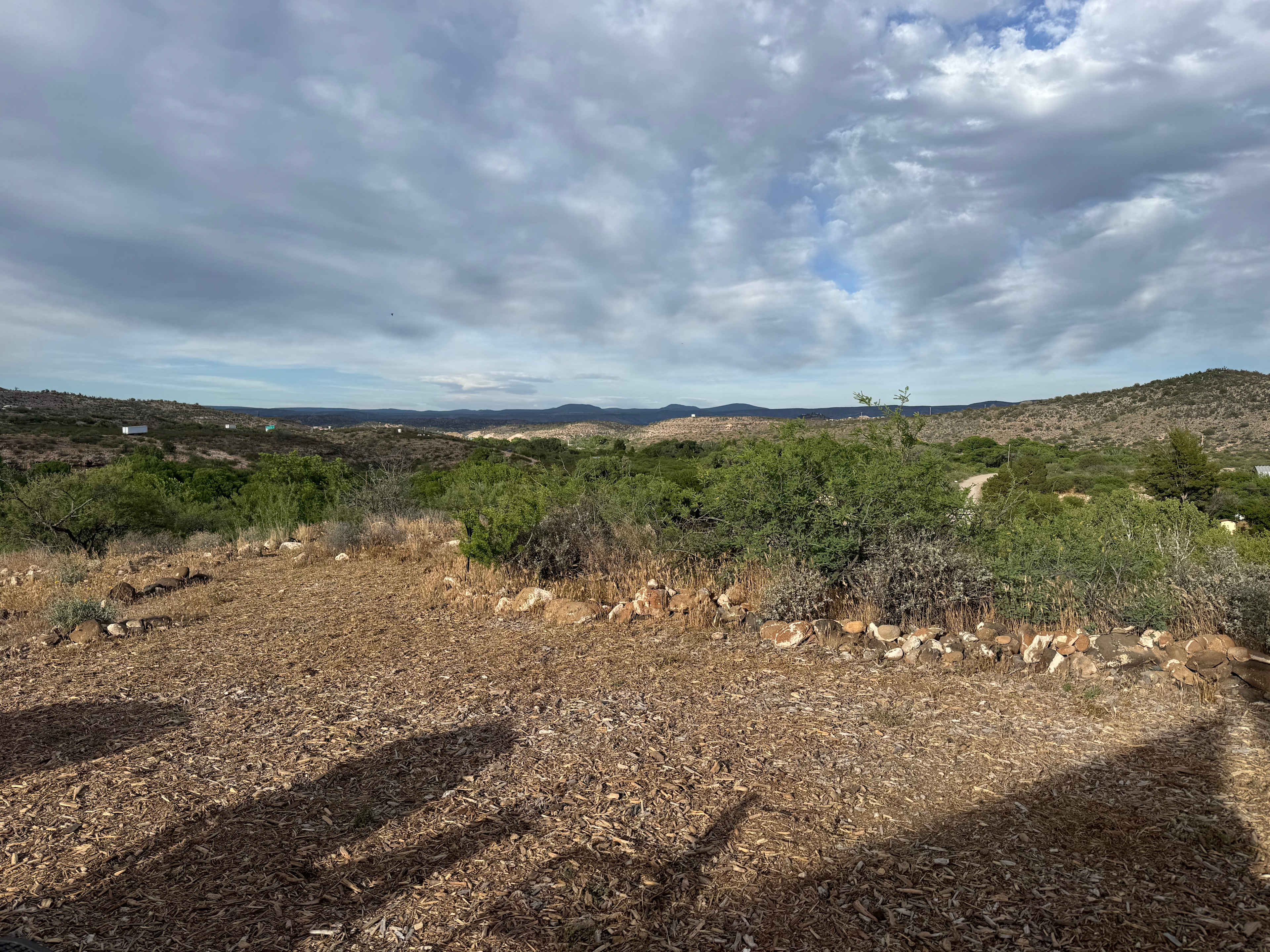 View from the site. 