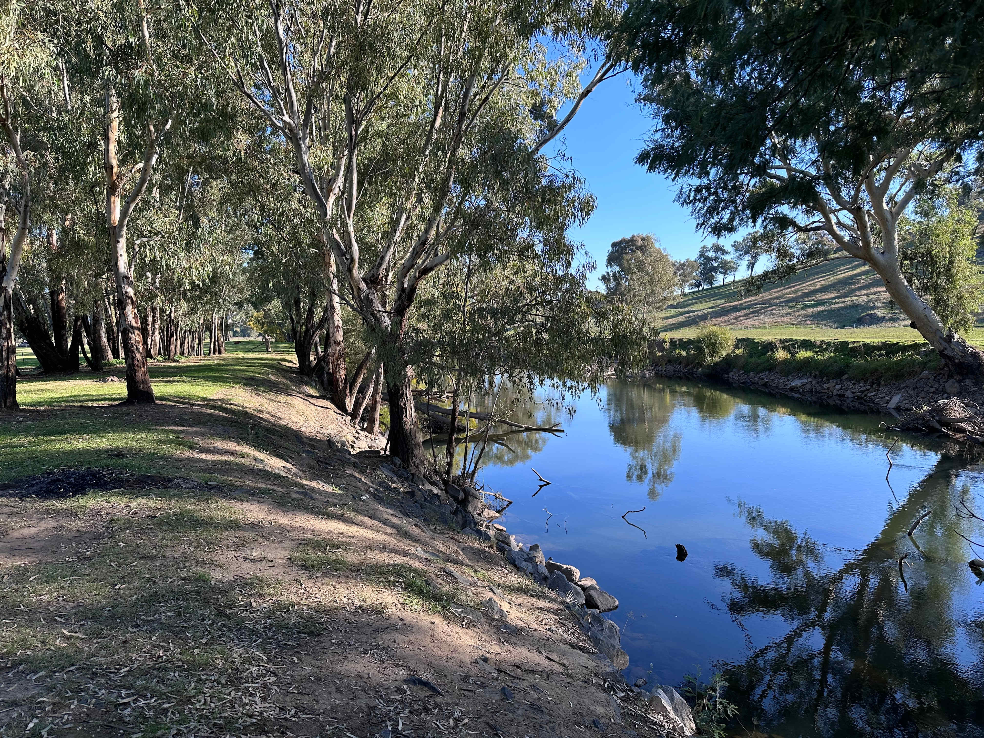 Bahwidgee on Tumut River