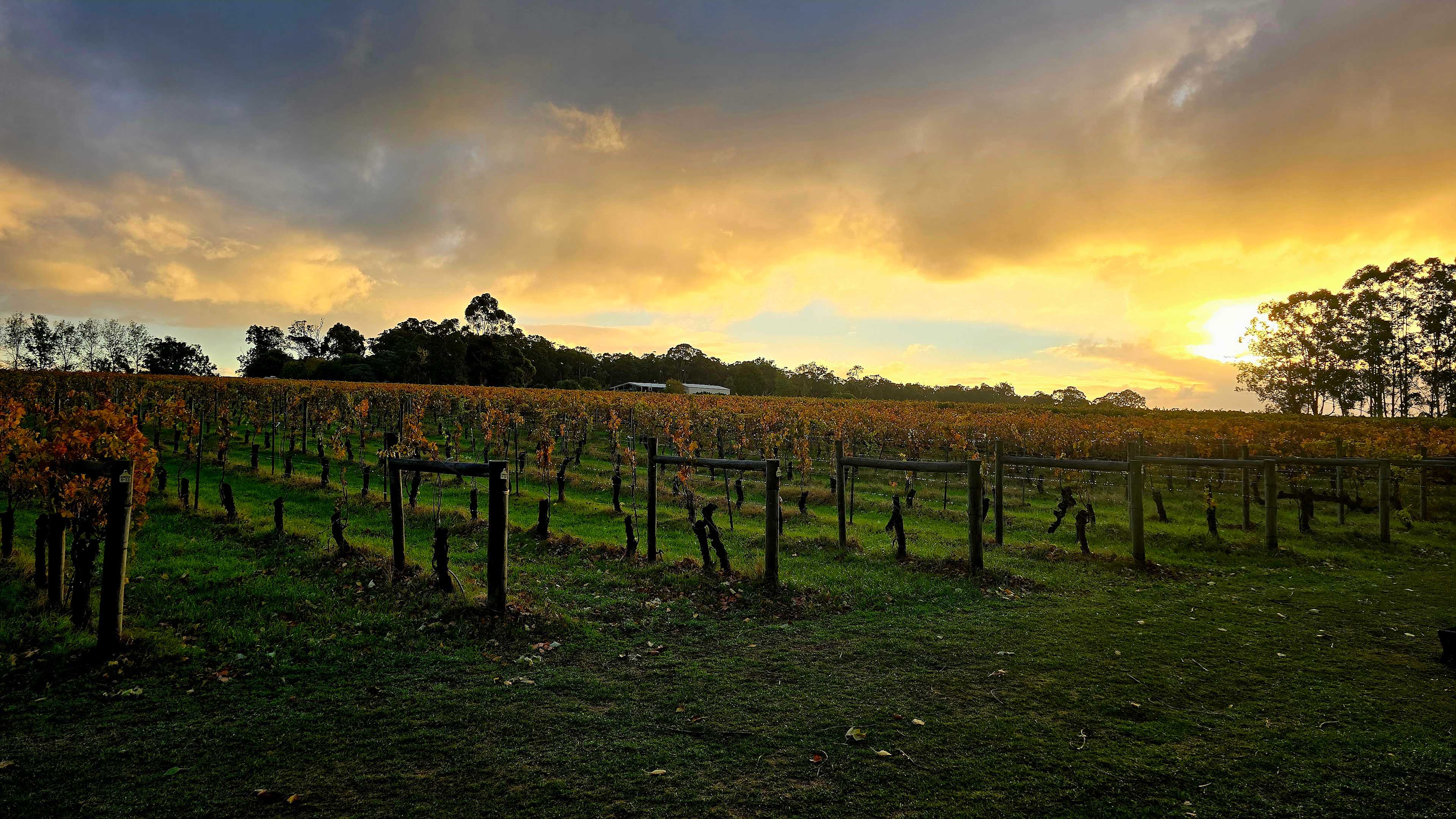Jarvis Estate Winery & Camping