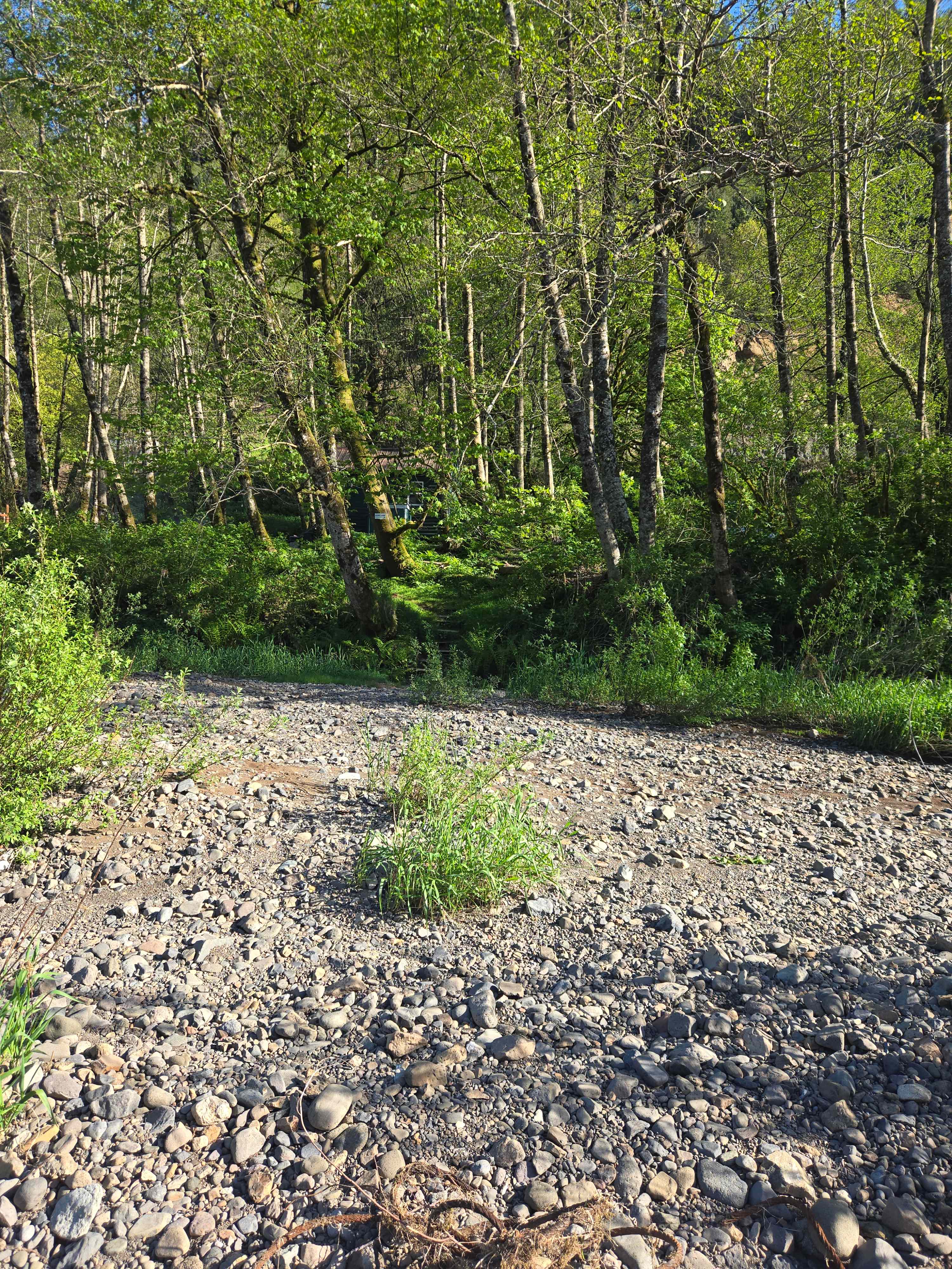 Kilchis River Retreat