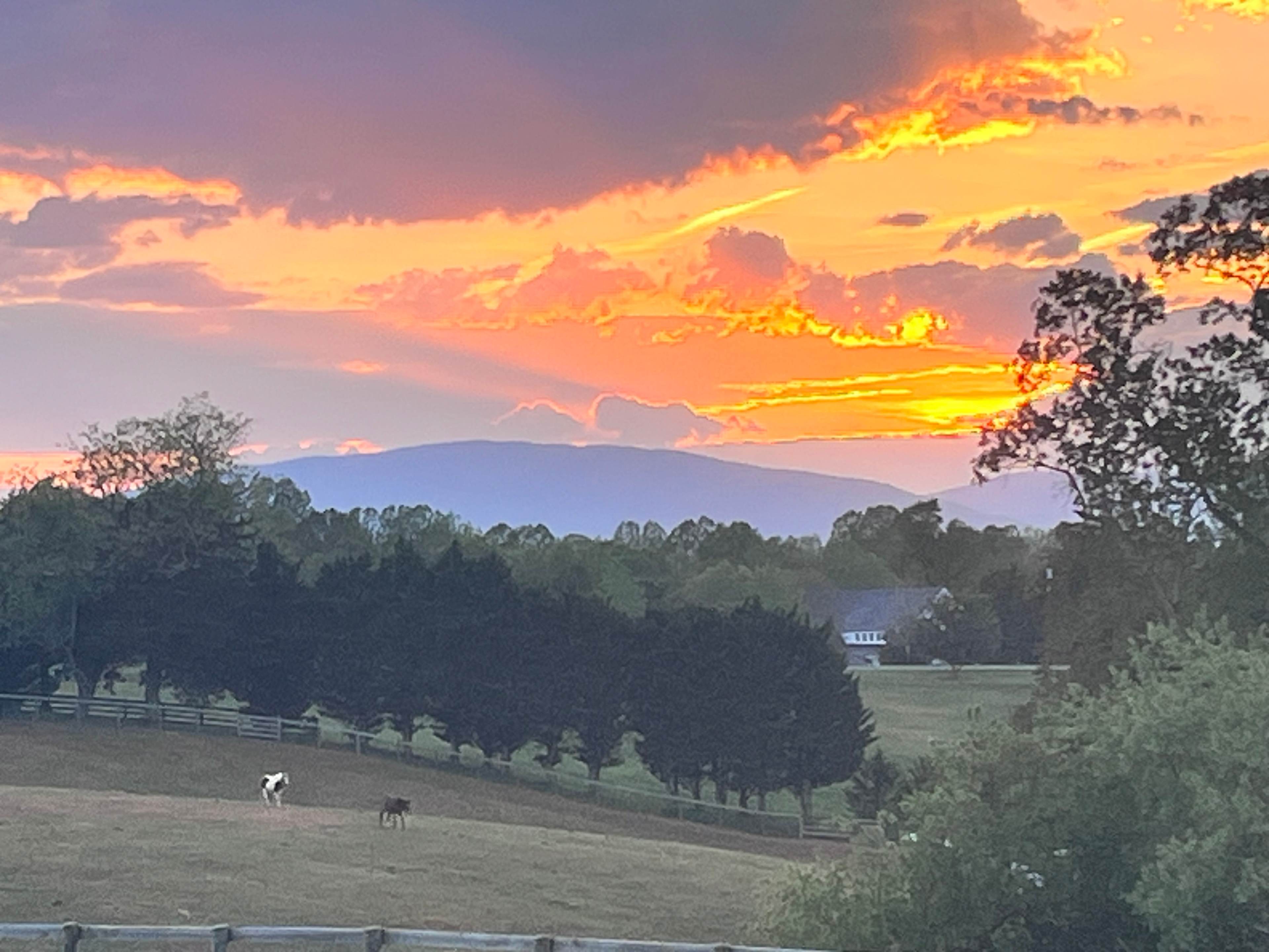 Private Farm Minutes to Cville