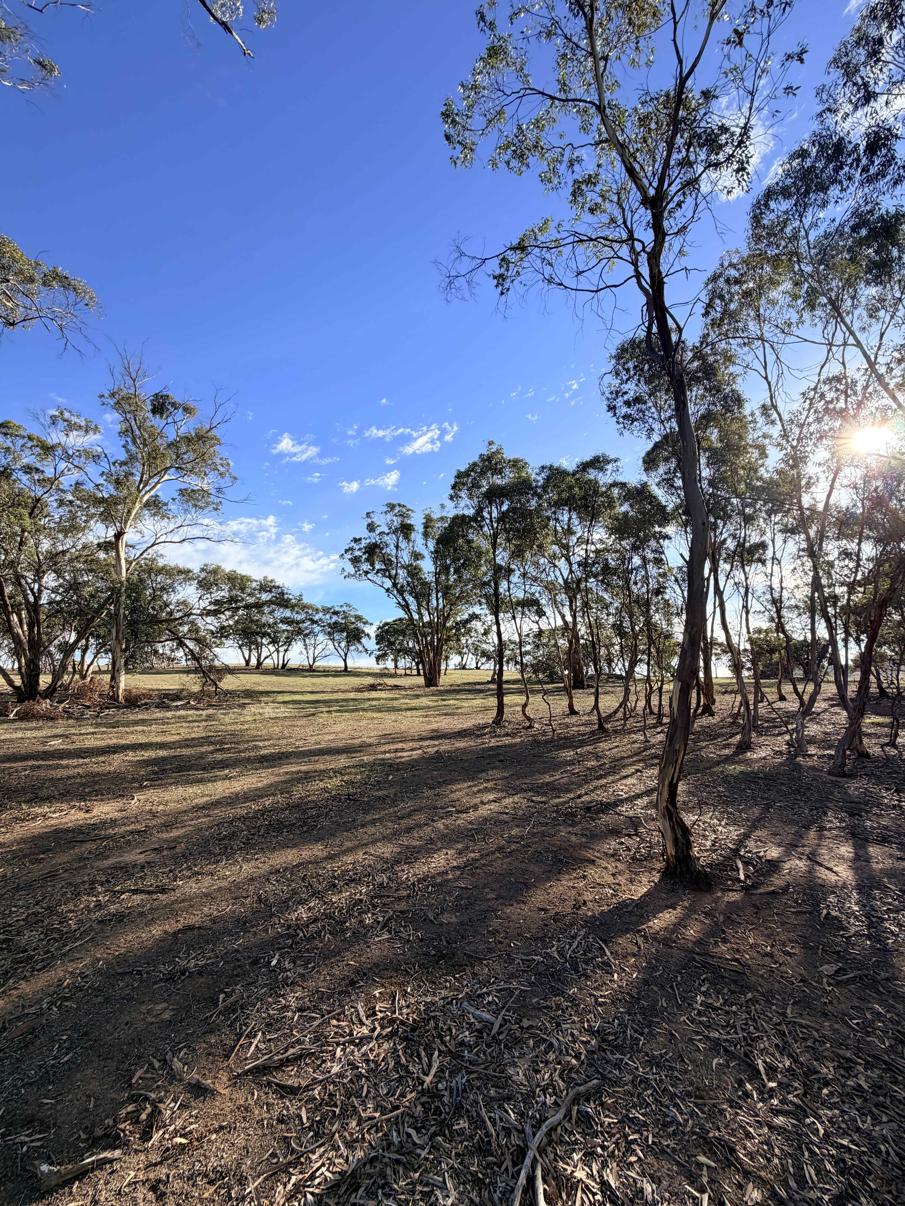 Edgehill Farm Stays Riverton