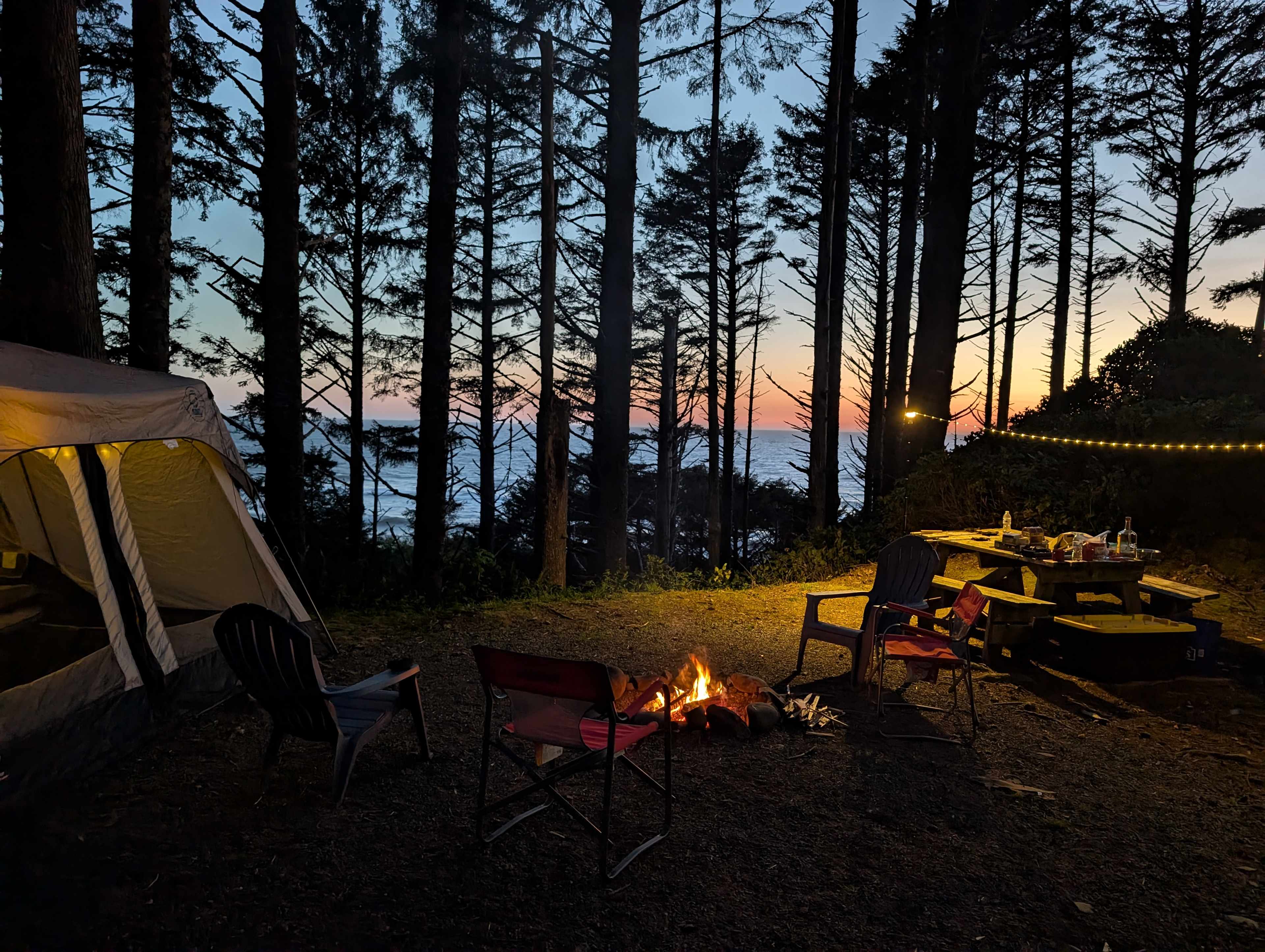 Aliya Preserve—WA Coast Eco-Retreat