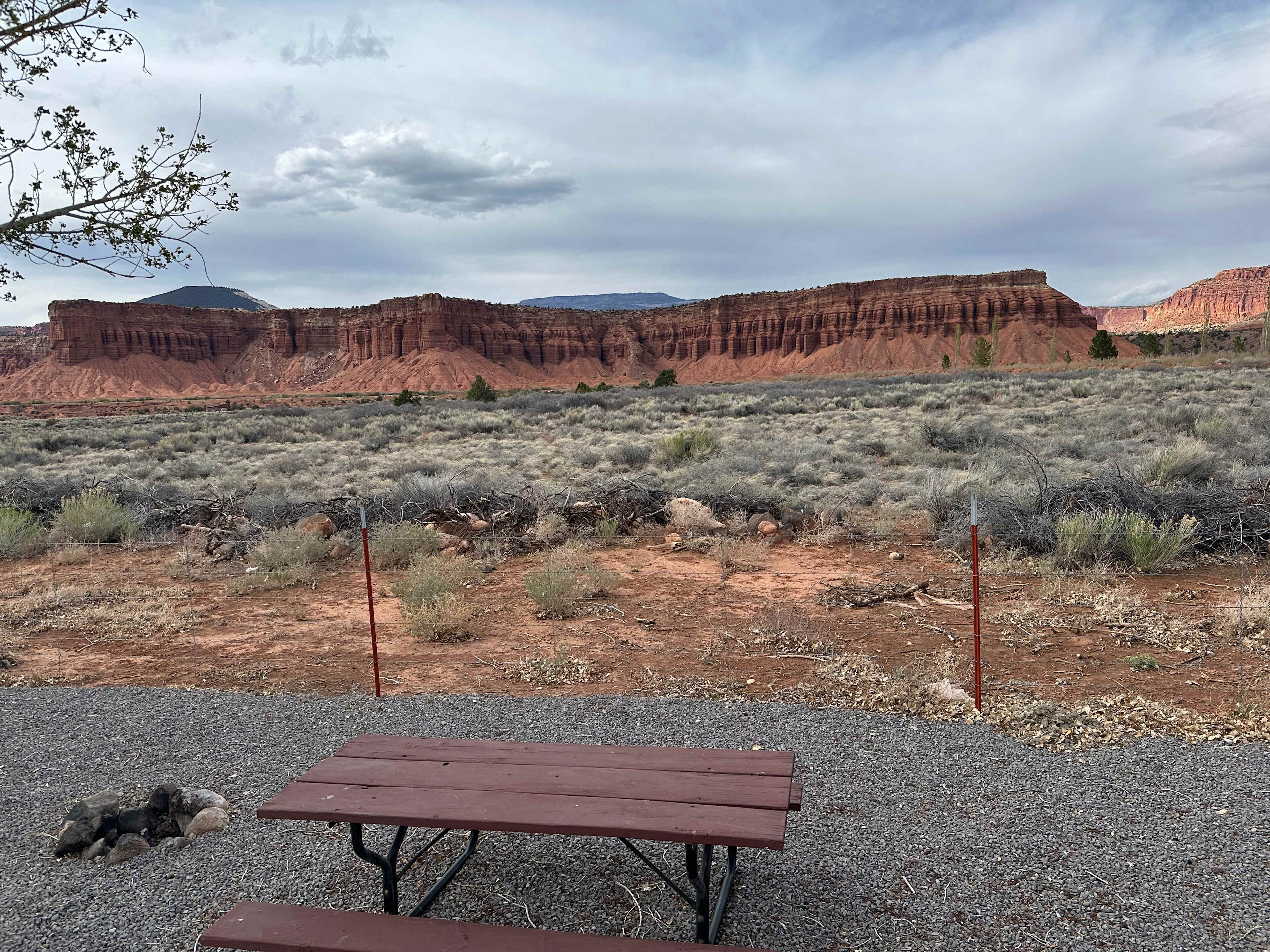 Picture of the site