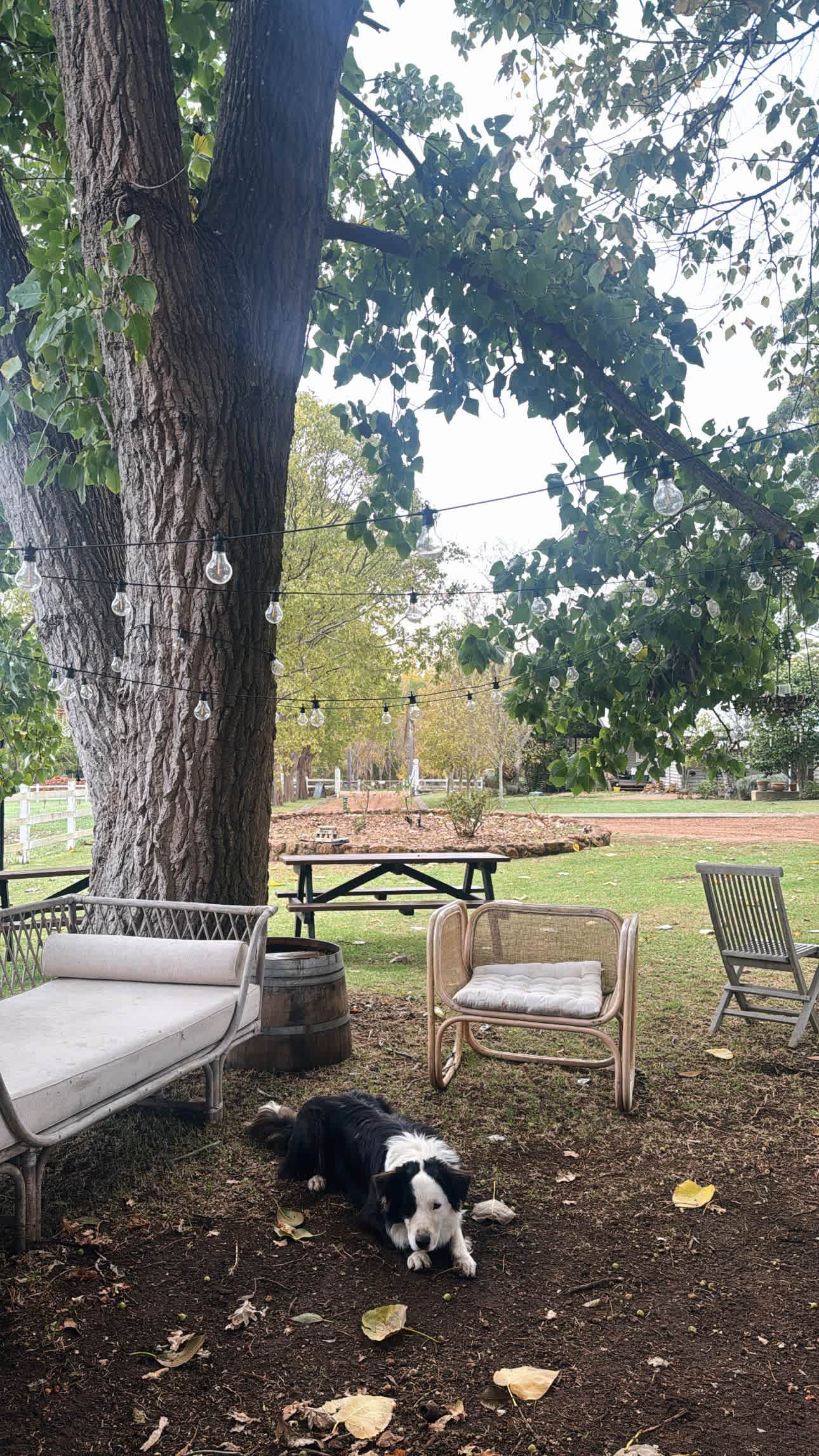 Margaret River - Rosa Glen Farm