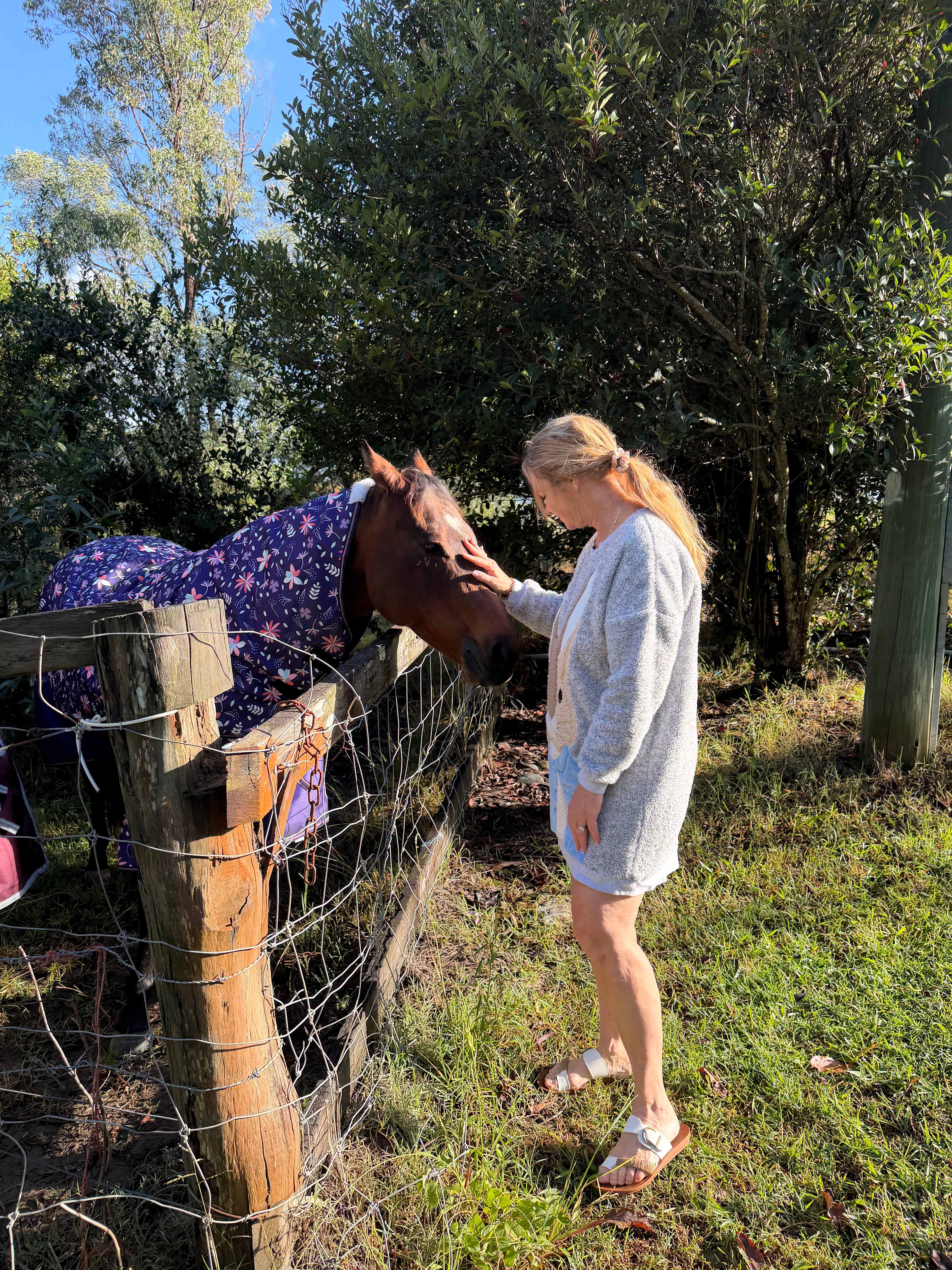 Love patting the horses