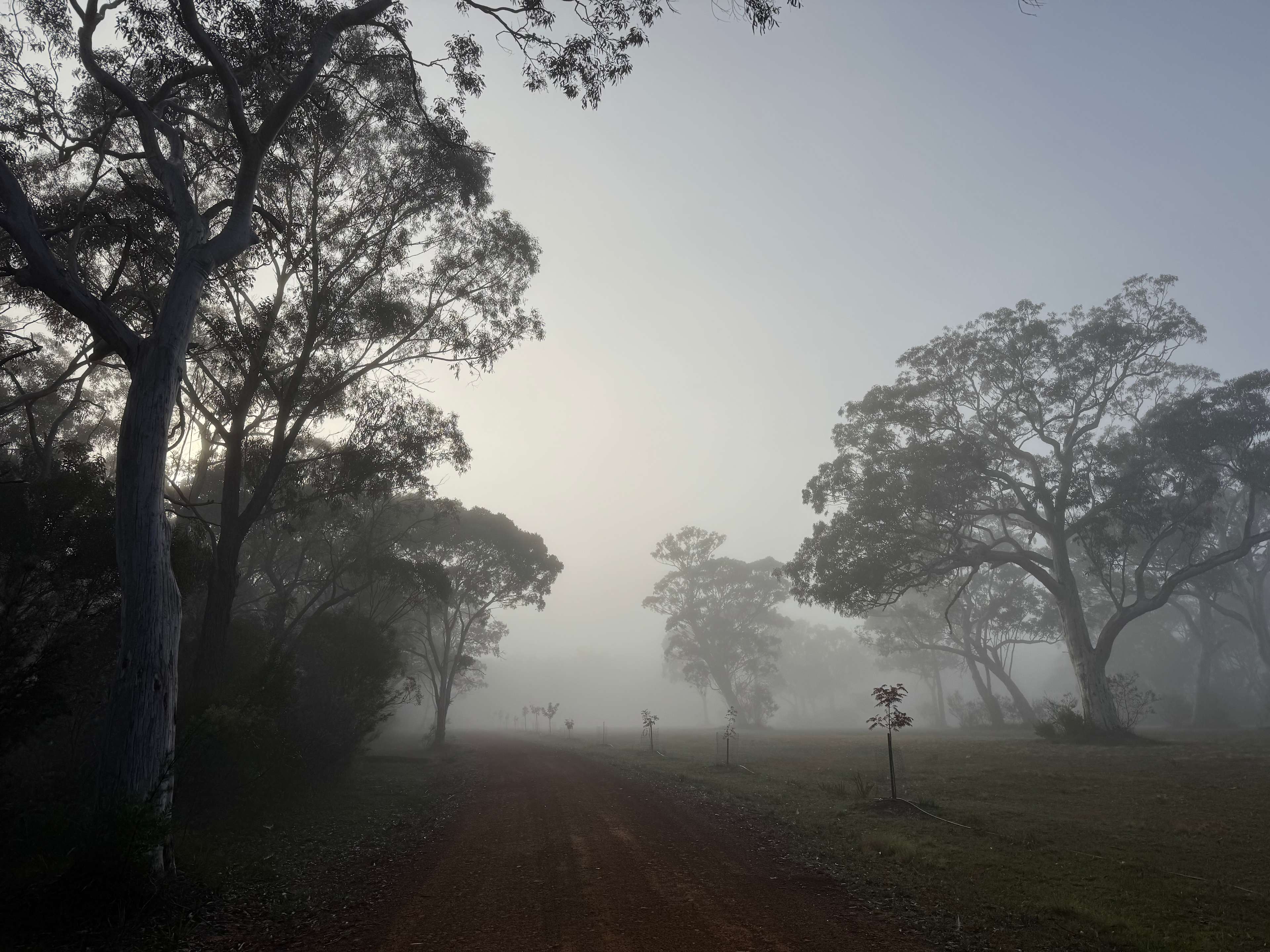 Crack of dawn on Saturday 