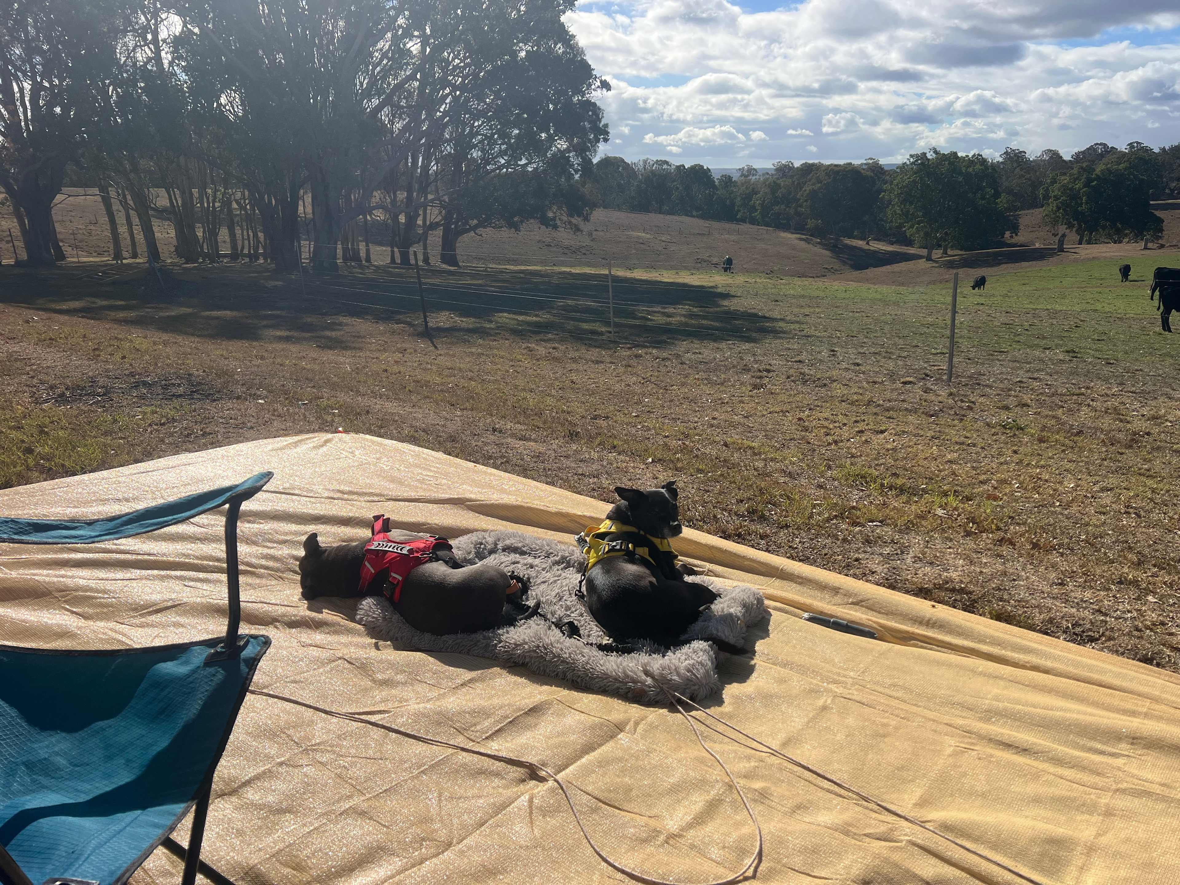 “ this Van life is hard work”