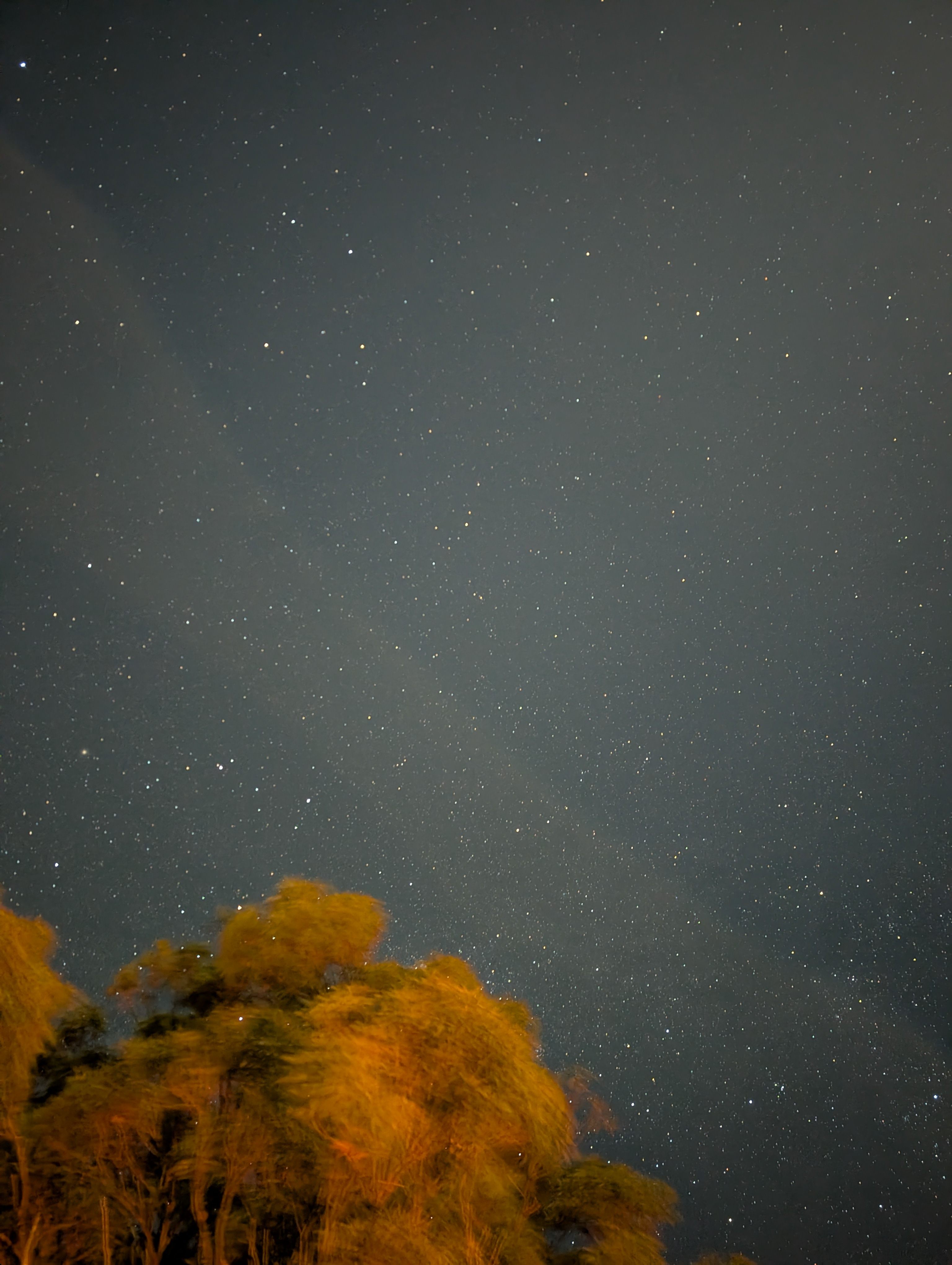Mt Nellinda Campsite