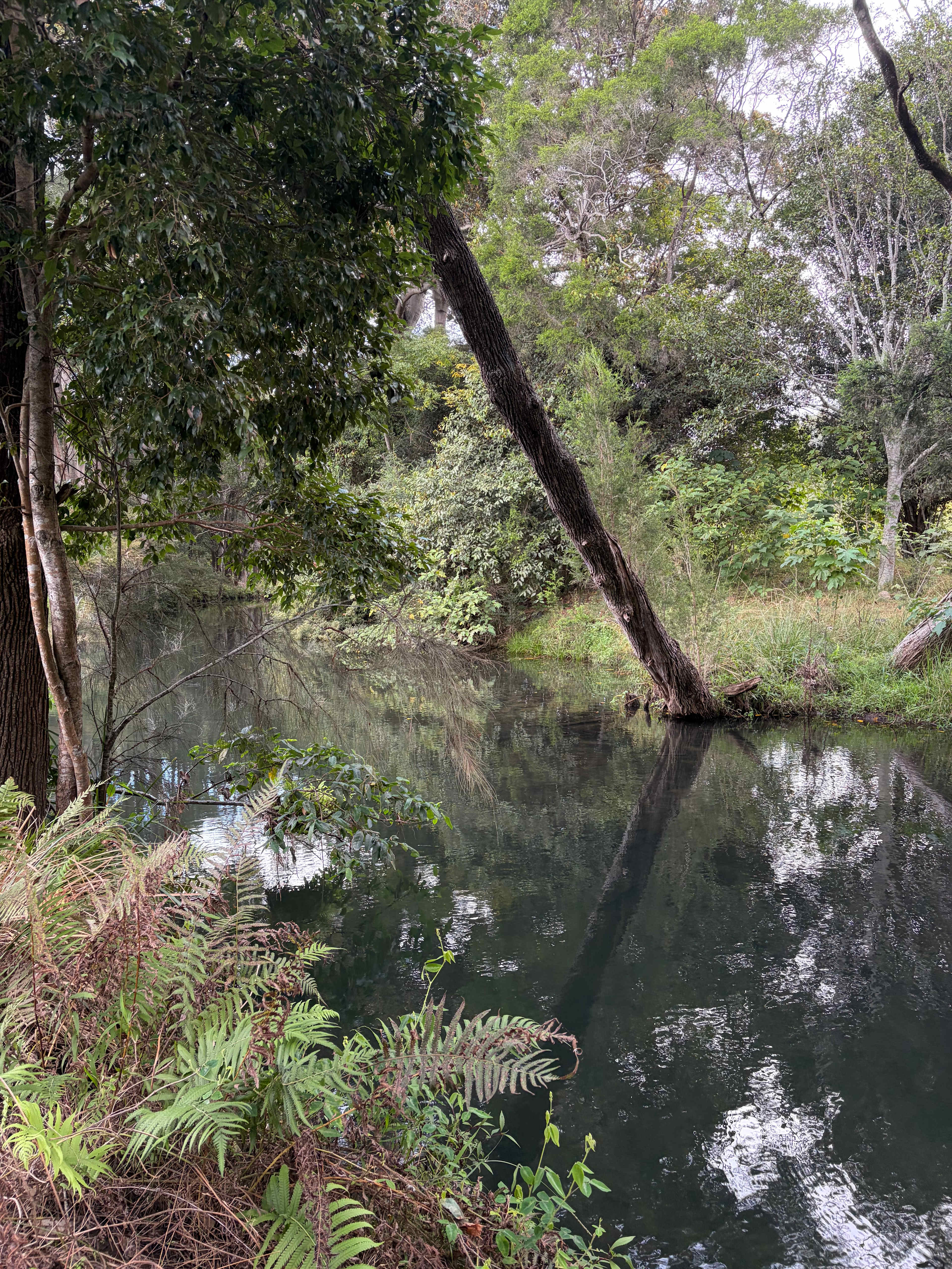 Photos do not do the river justice! It was crystal clear. 
