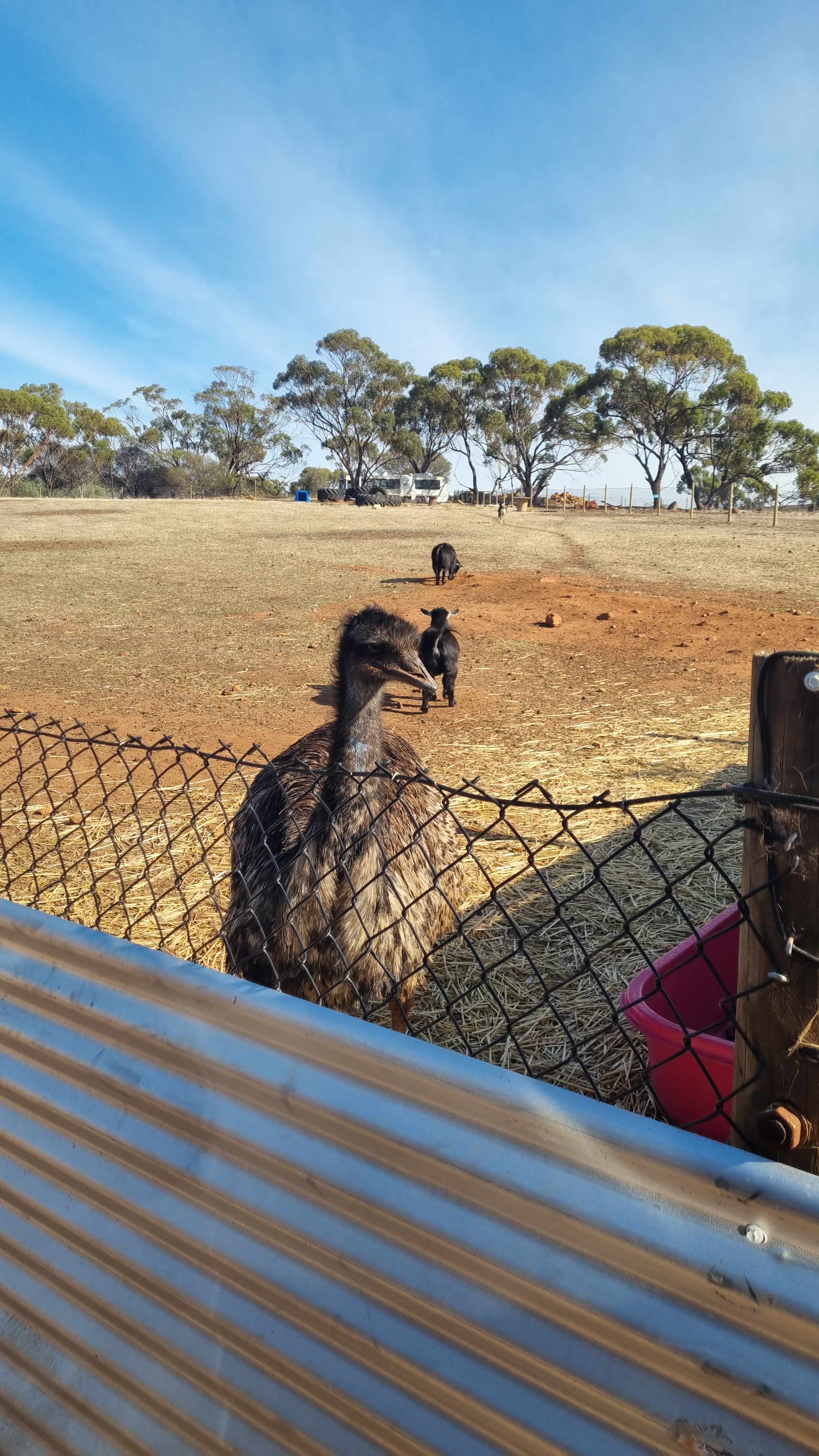 Sandalwood Downs  Farm Stay Toodyay