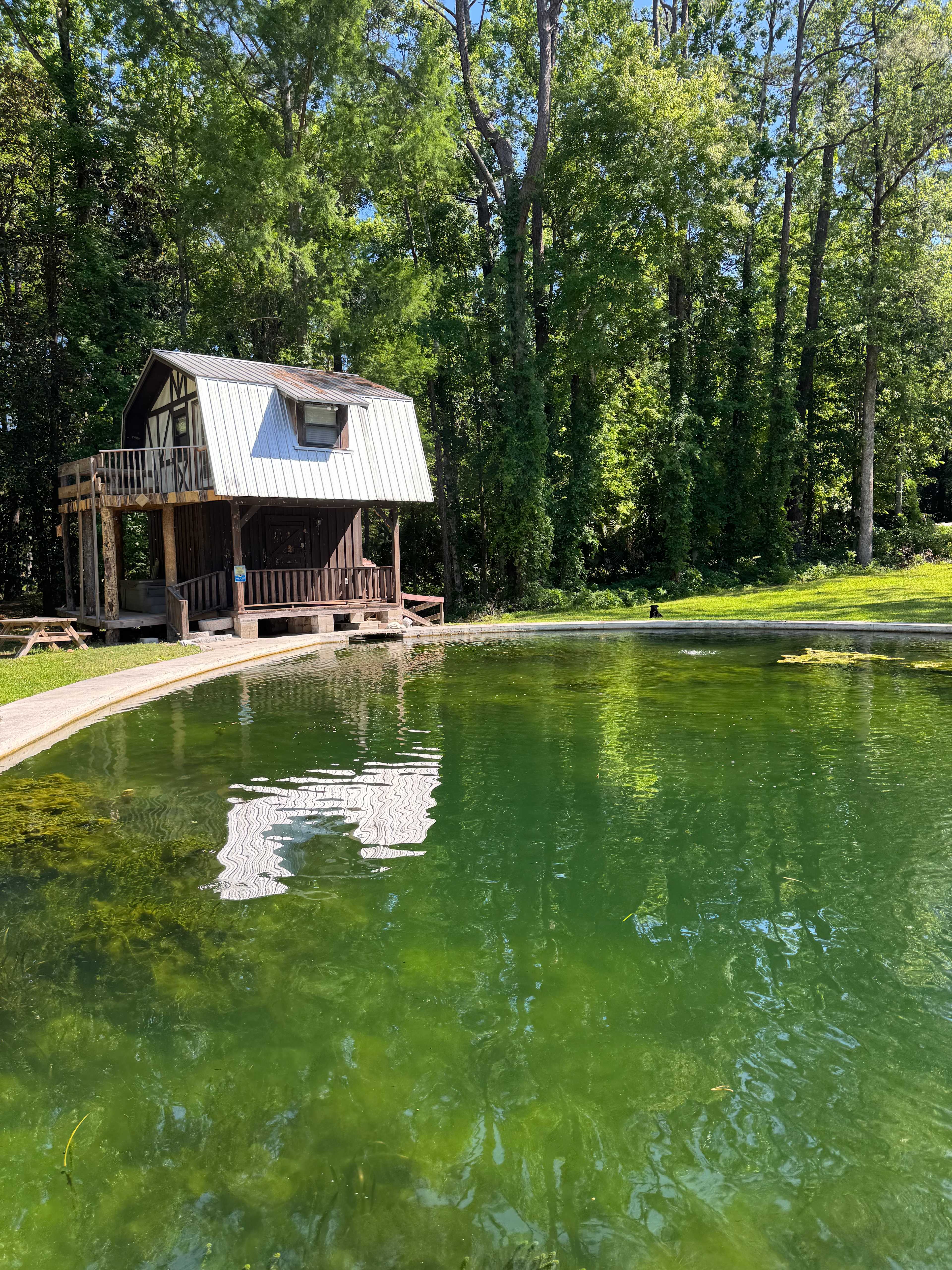 Camp Seminole Springs