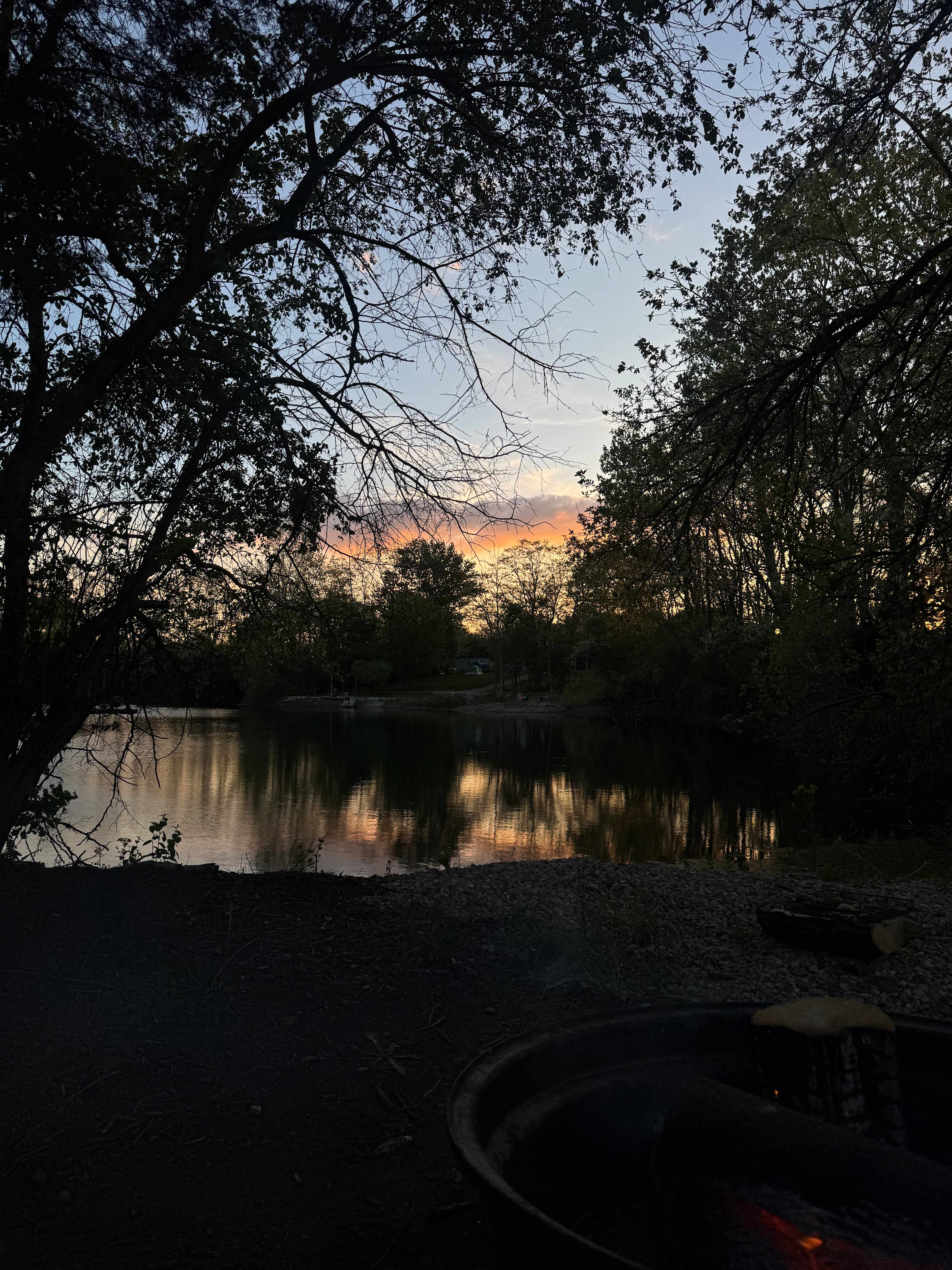 Cattail Springs