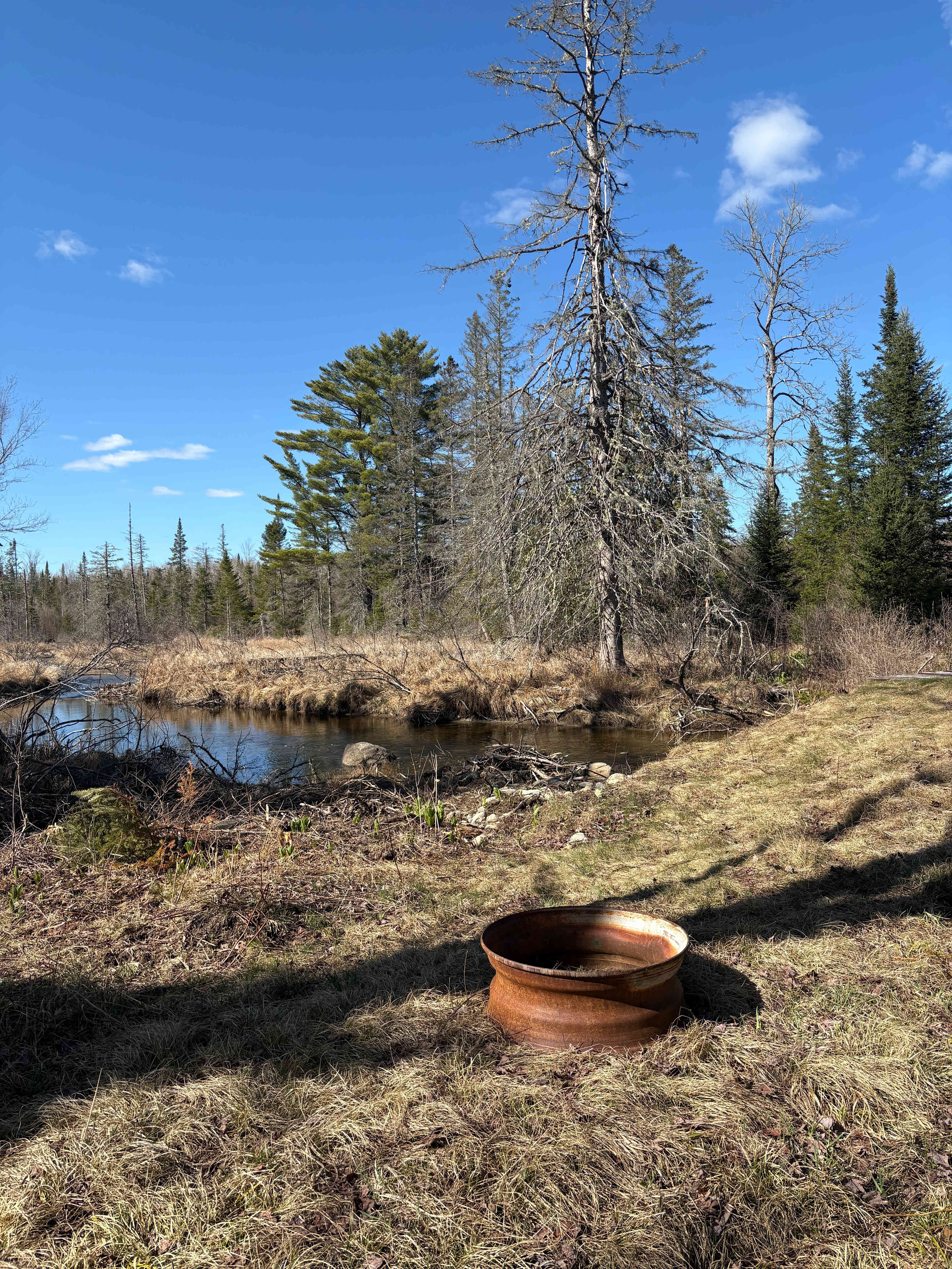 15 Mile Stream 365 acre campground