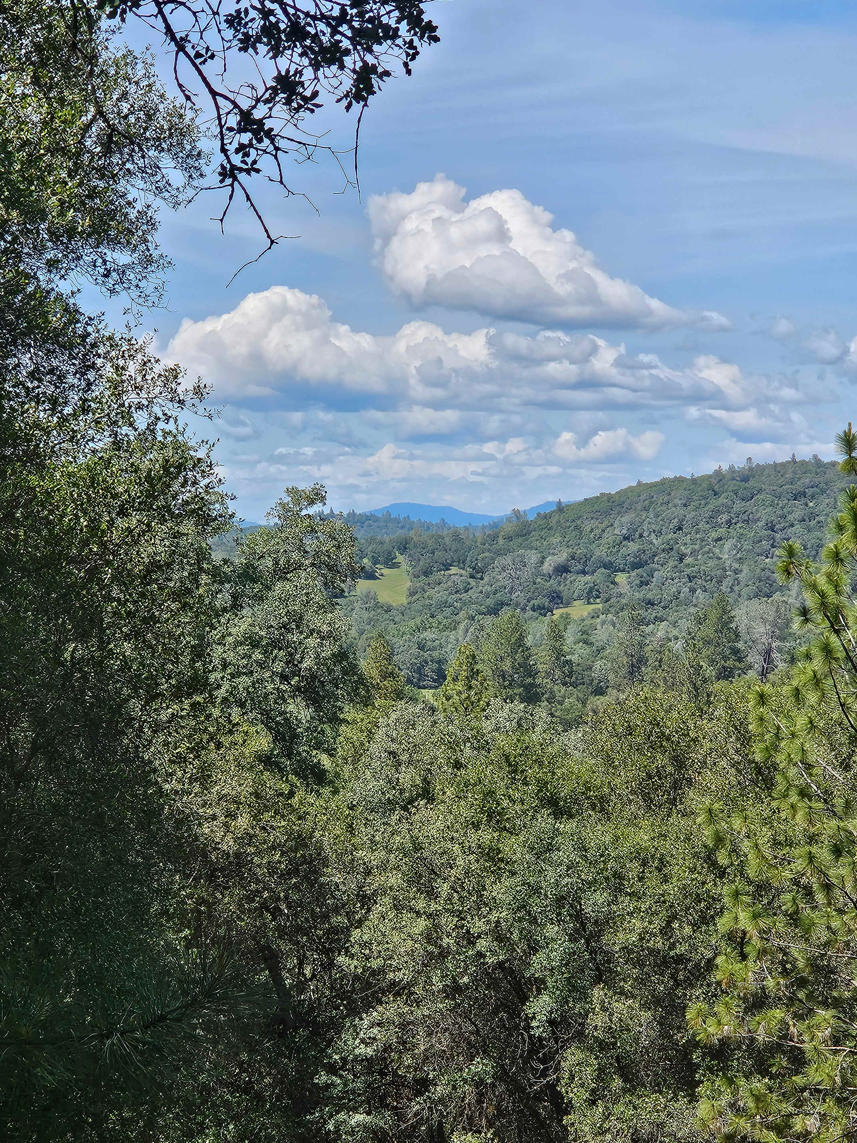 Hilltop Acres Tipi Glamp Camp