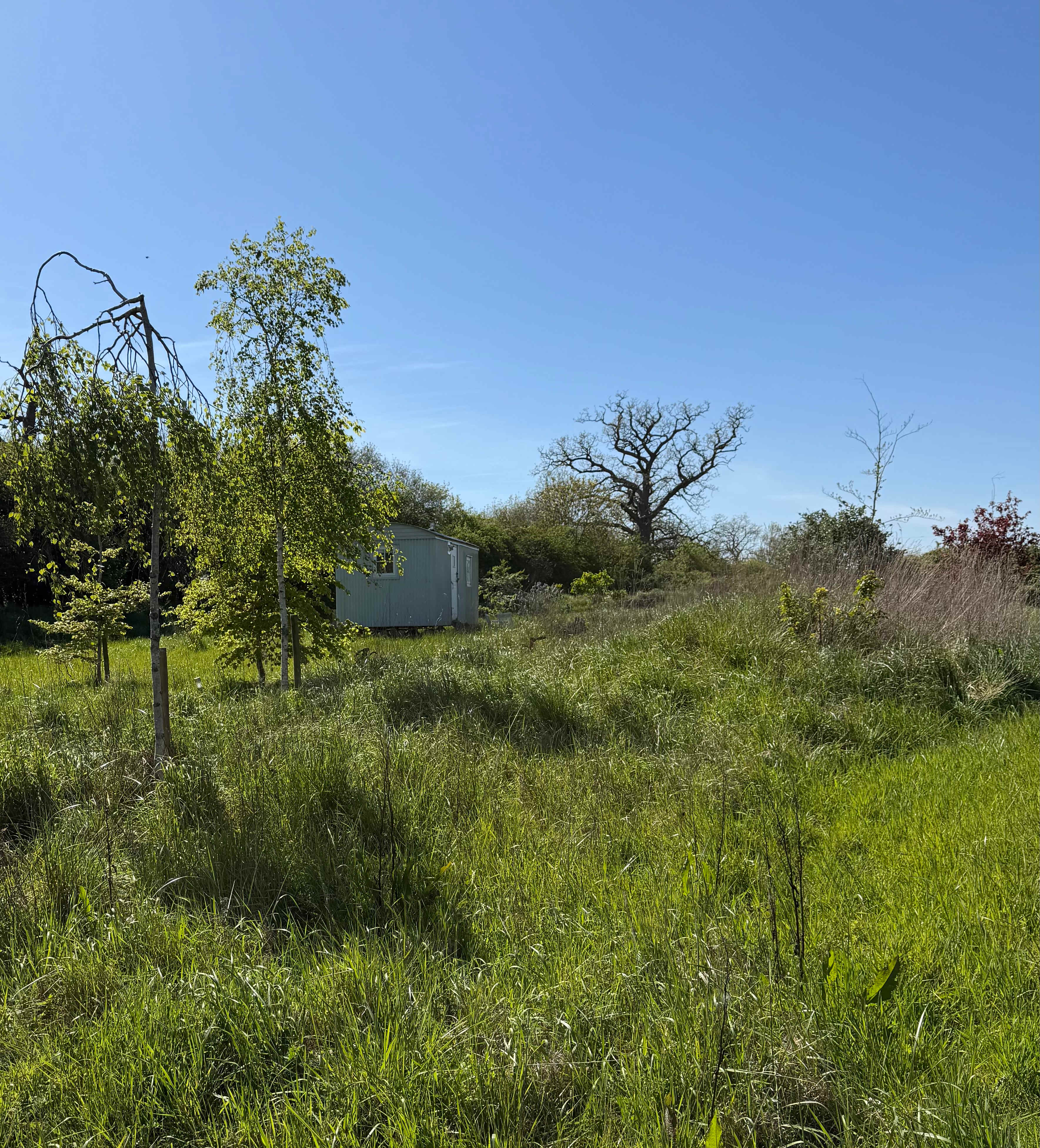 Setting of the hut