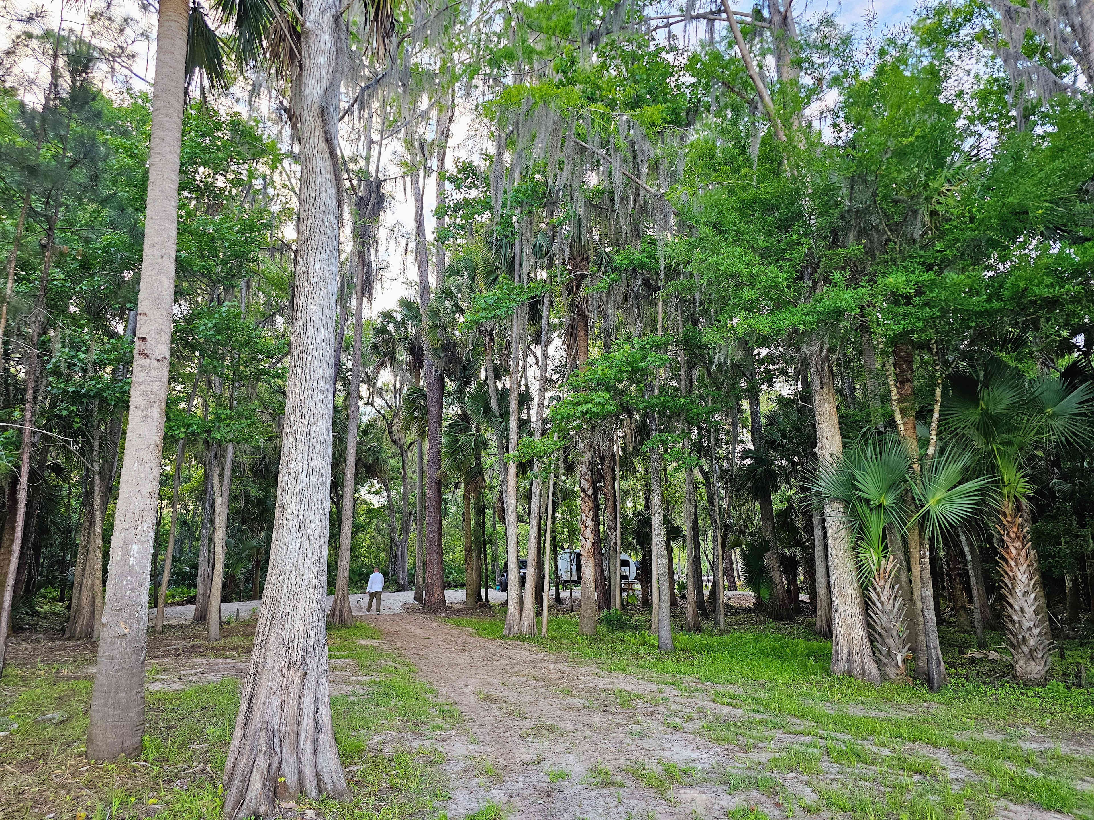 View from lake to camp