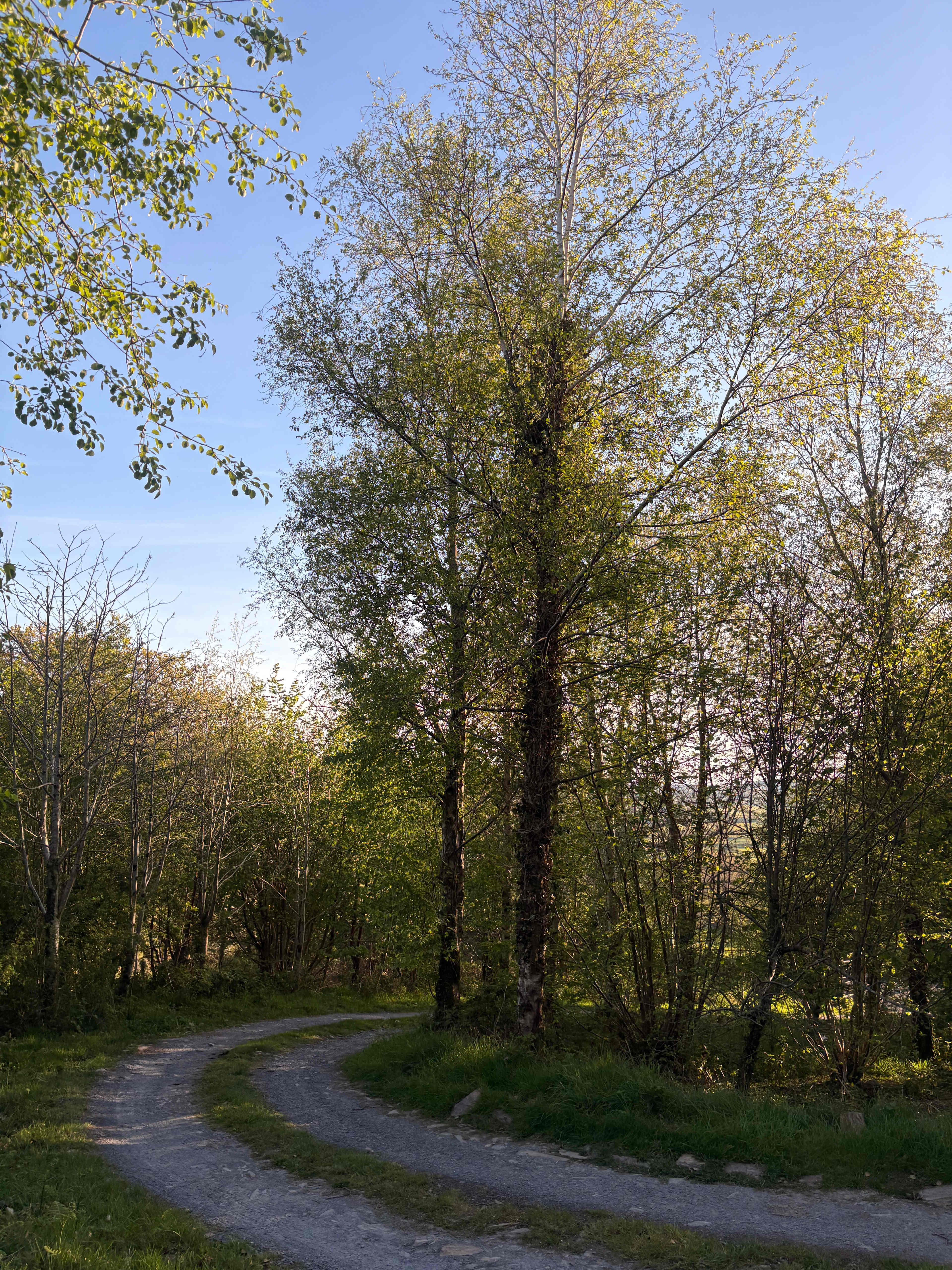 Snowdonia Glamping