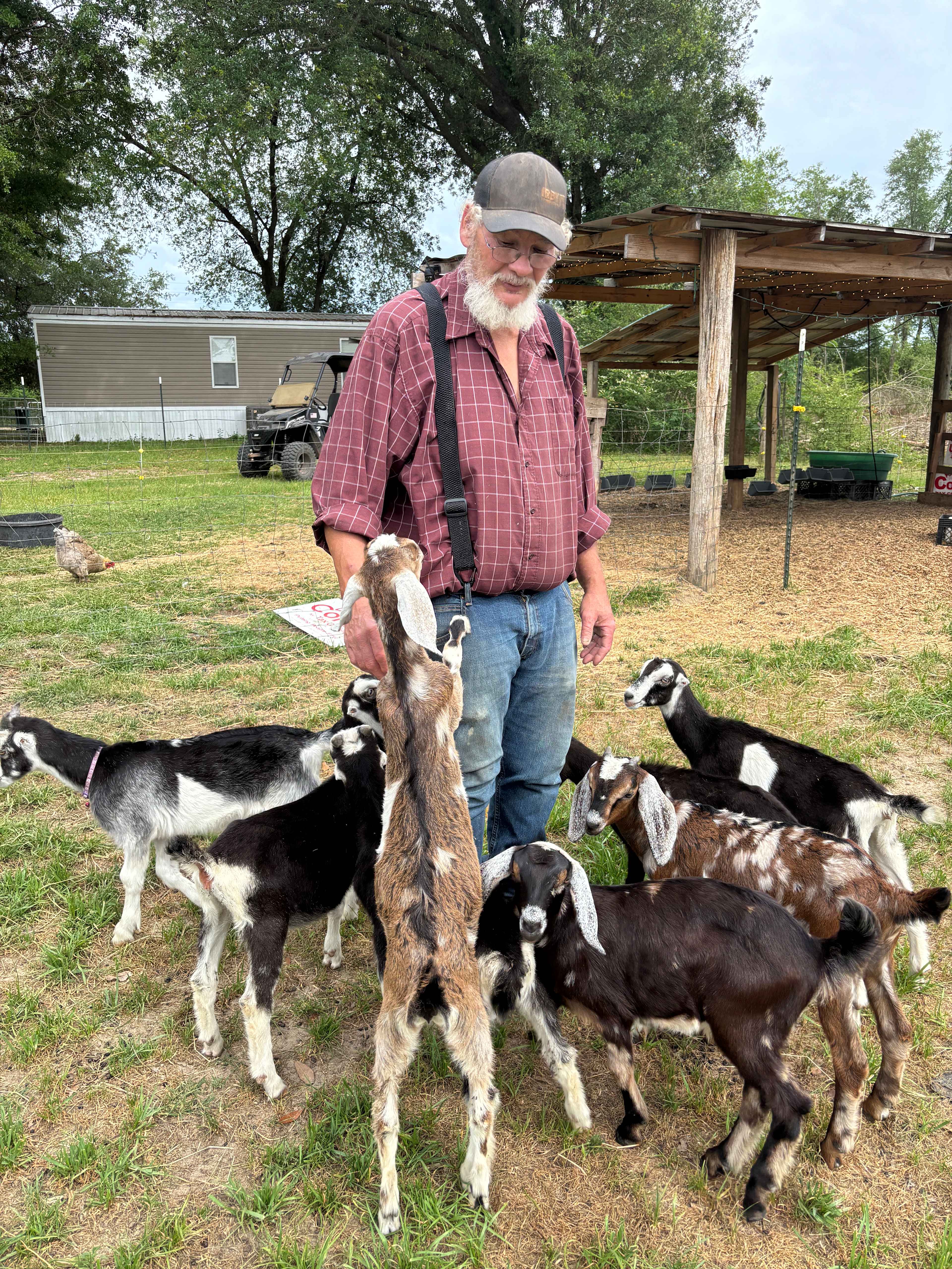Moonpie Farm and Creamery