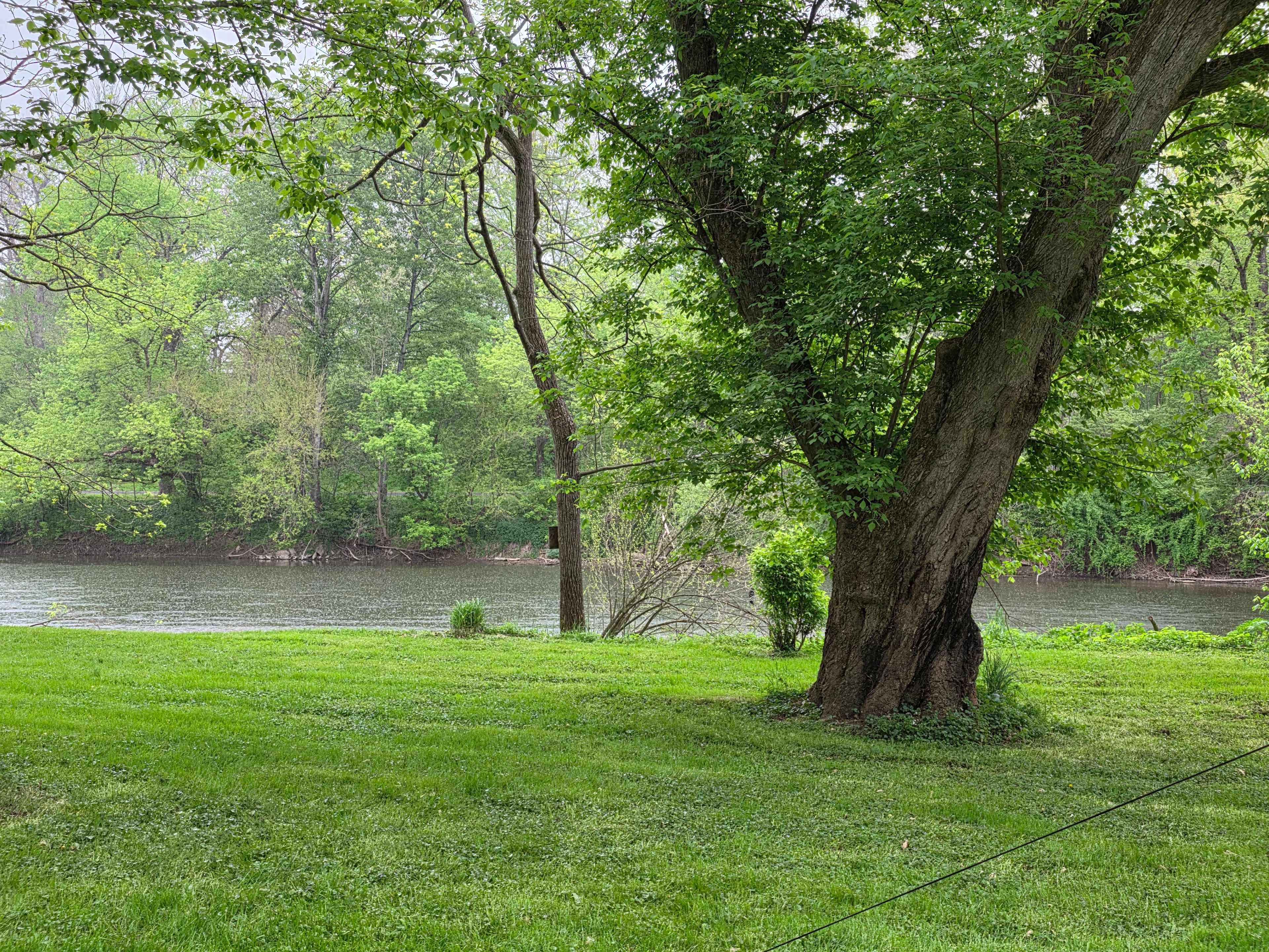 Secluded River View
