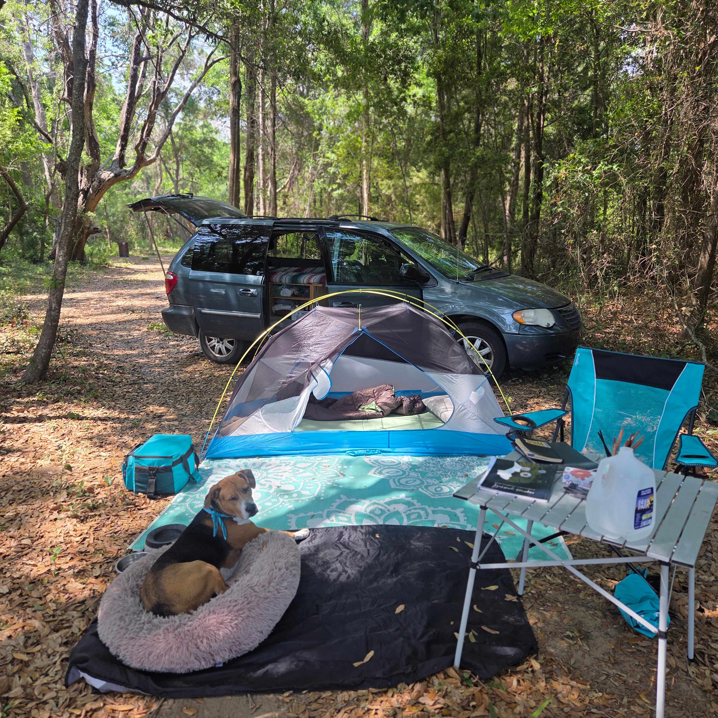 Edisto Maritime Forest Camp
