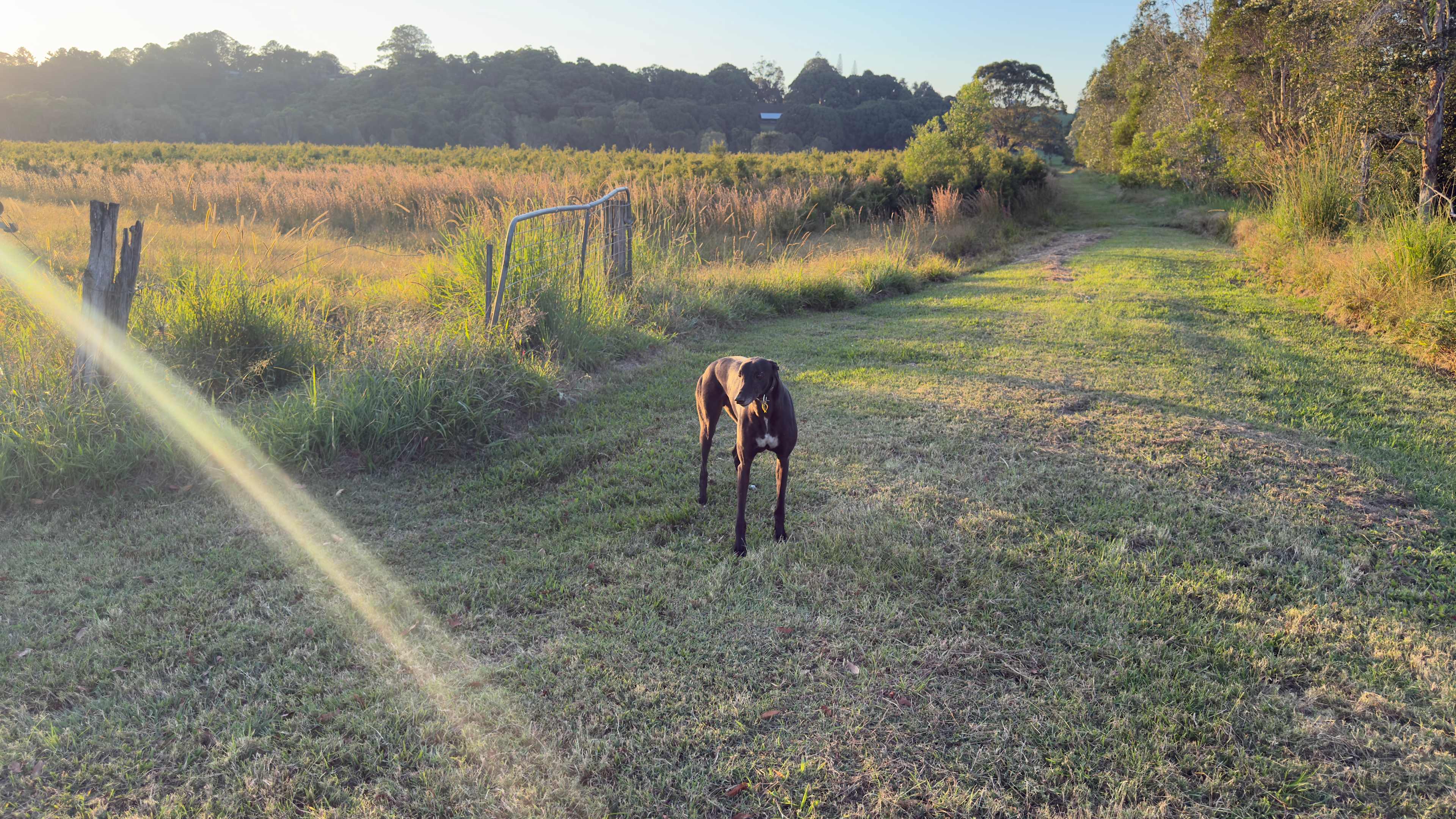 East Creswick Farm