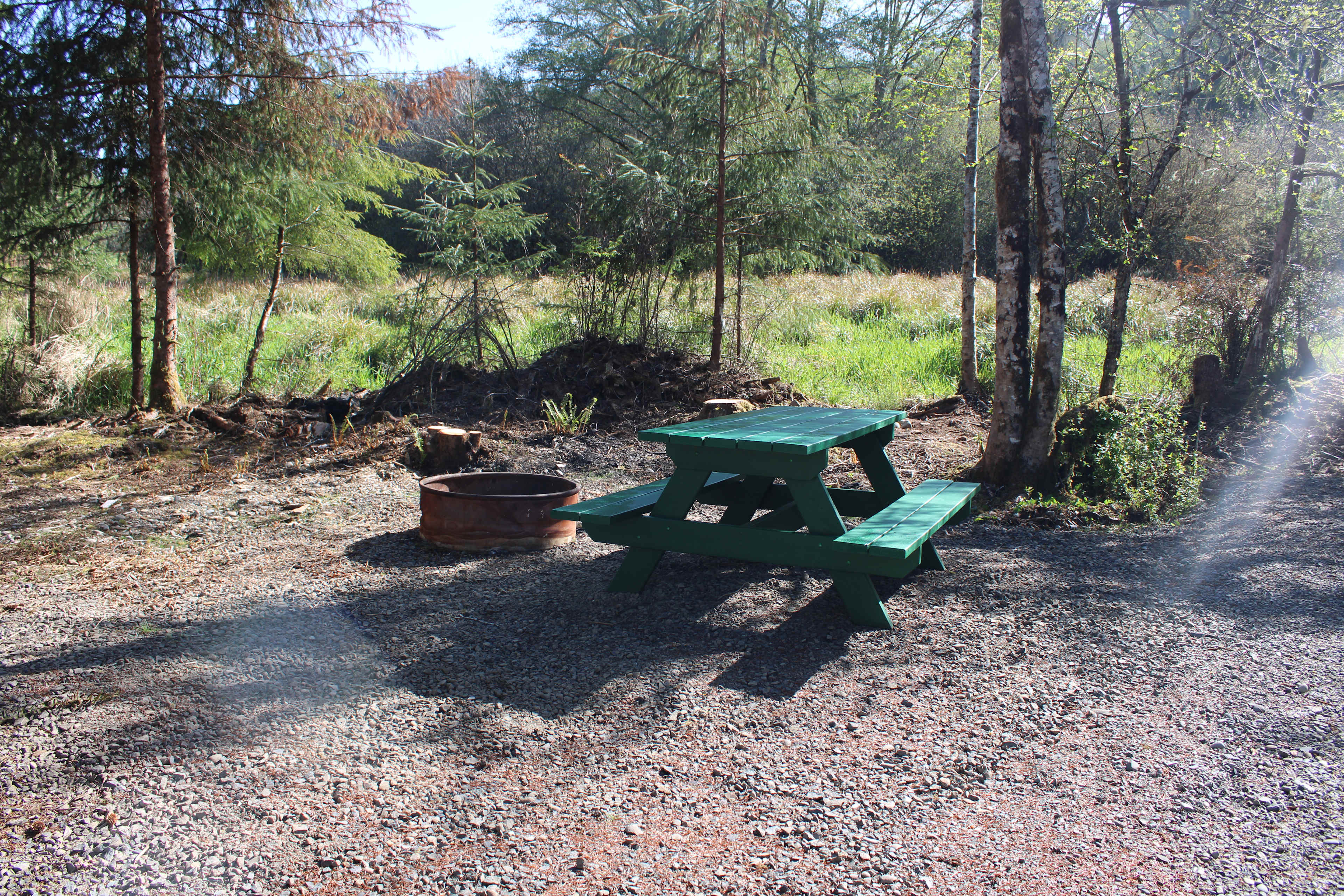 Picture of the site