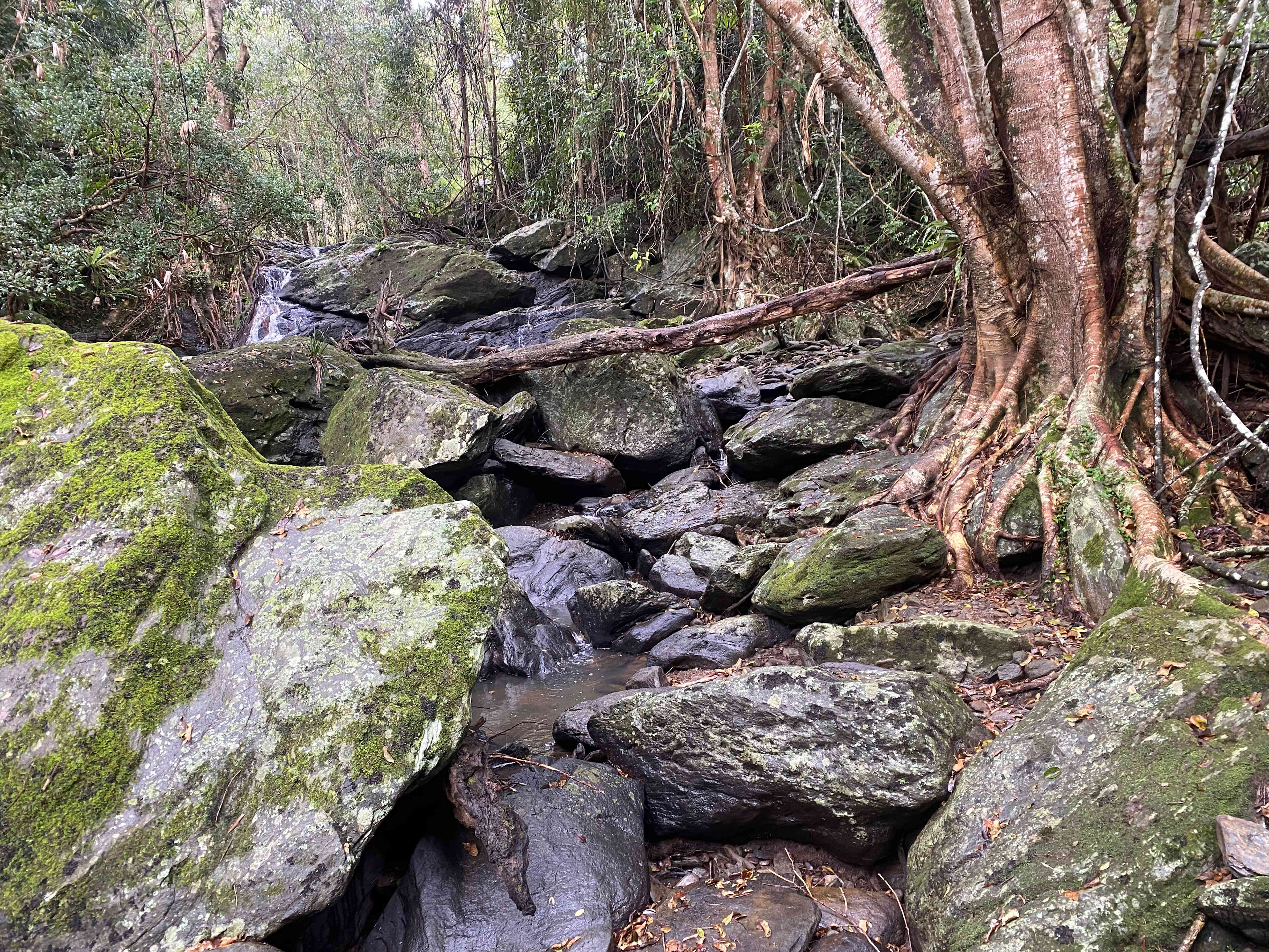 Coorie Vale