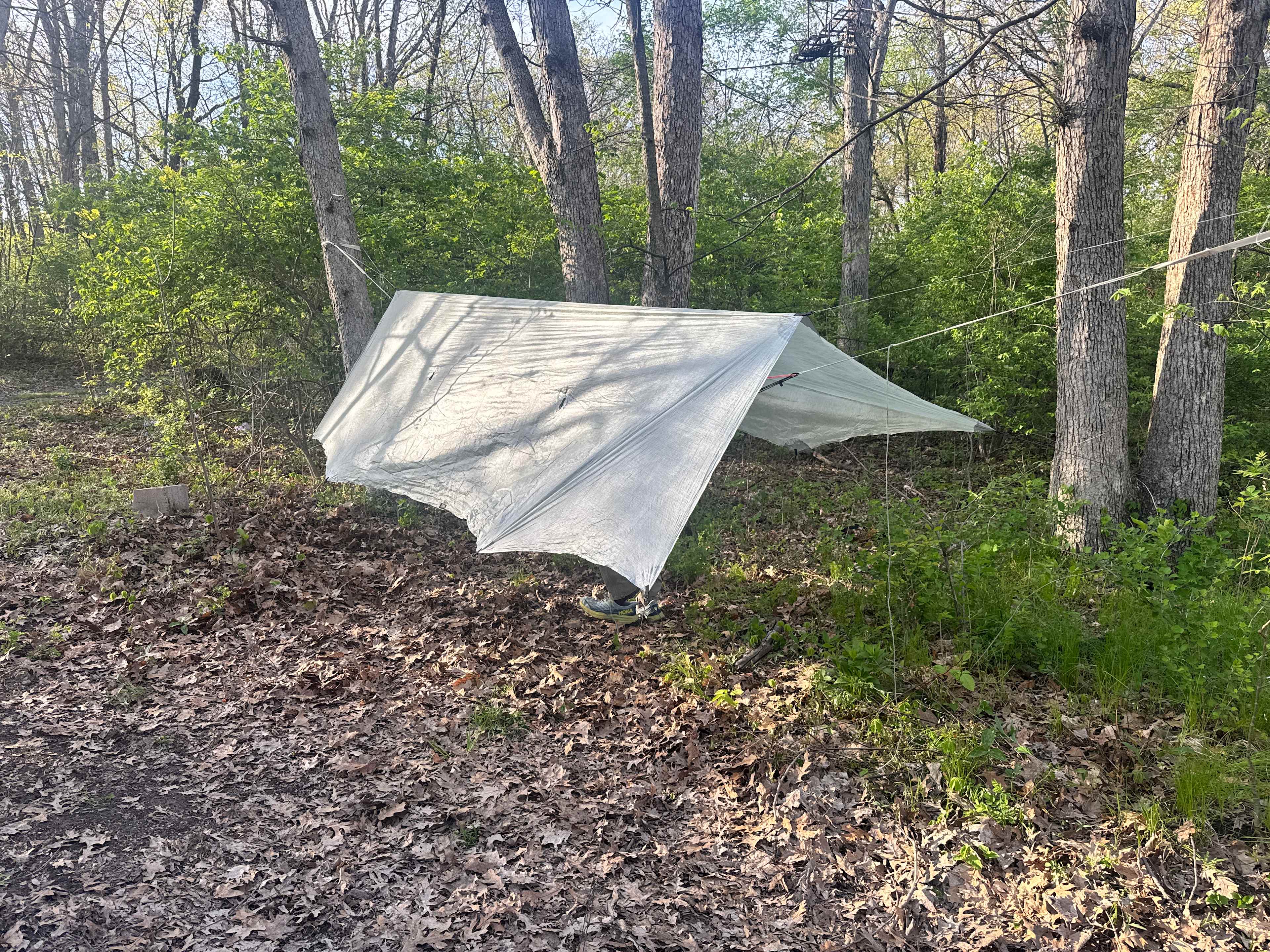 Welcome to our Magical Woods