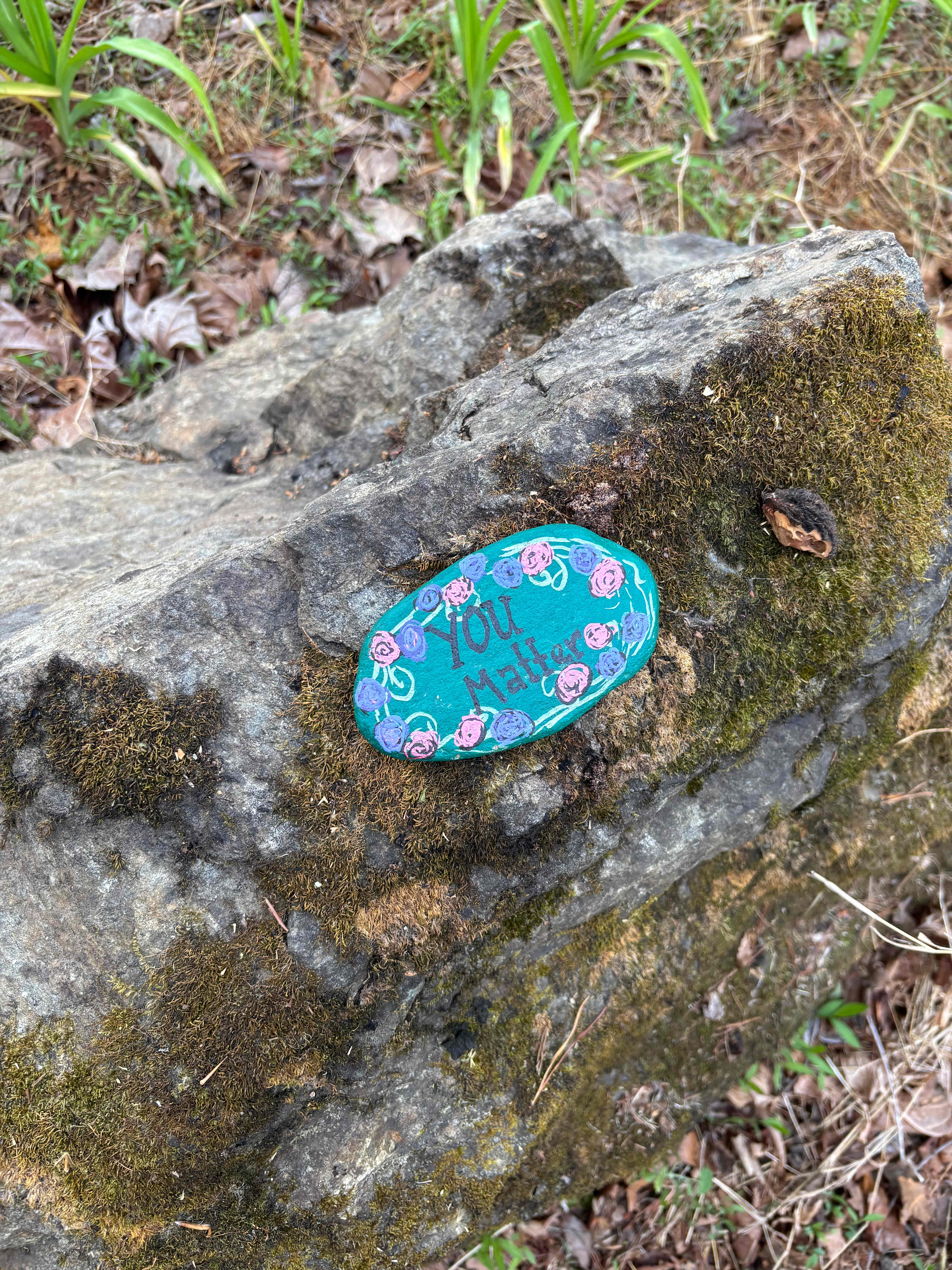 TangleWood Creekside Campsites