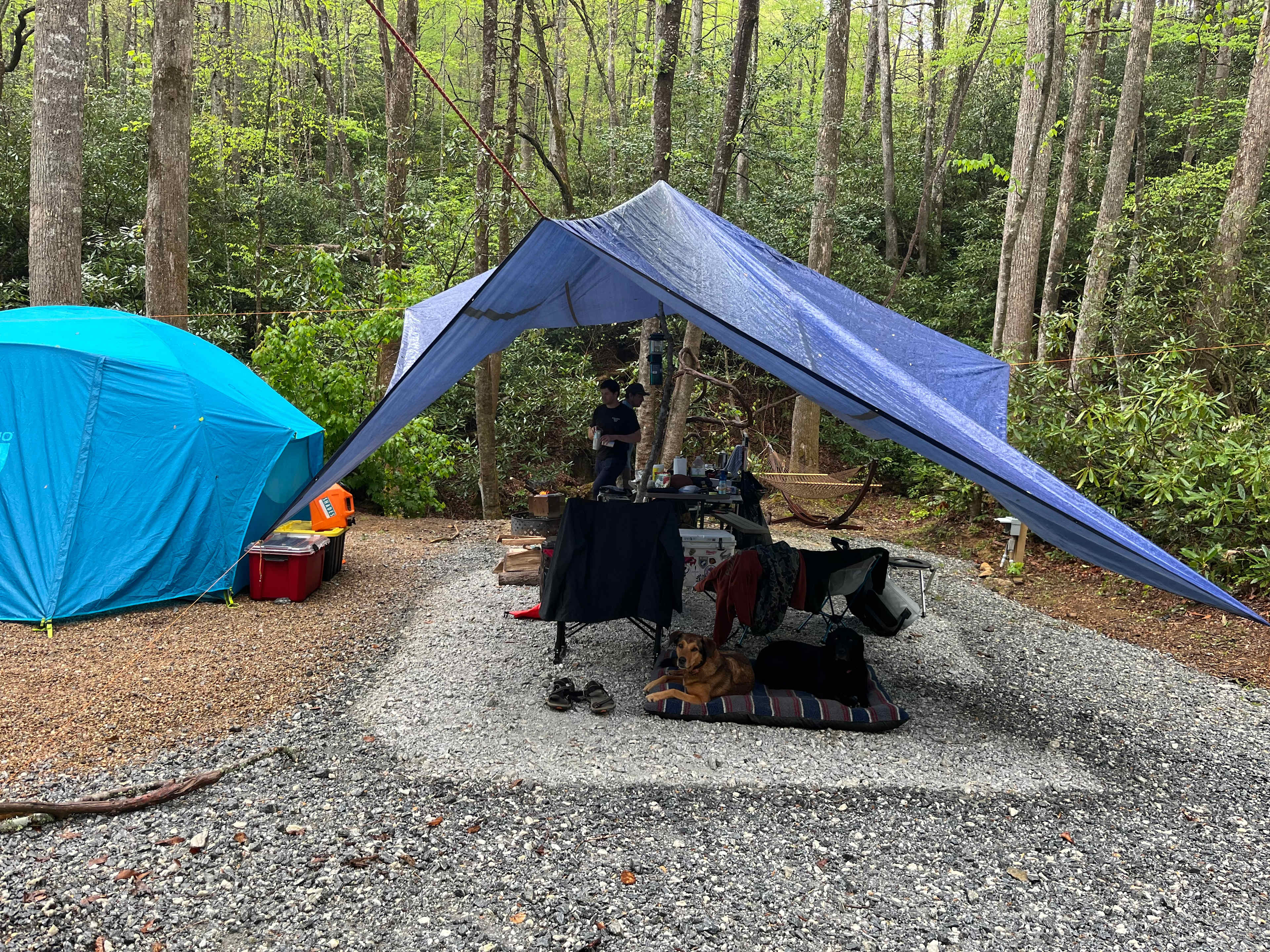 Toxaway Camp & Glamp