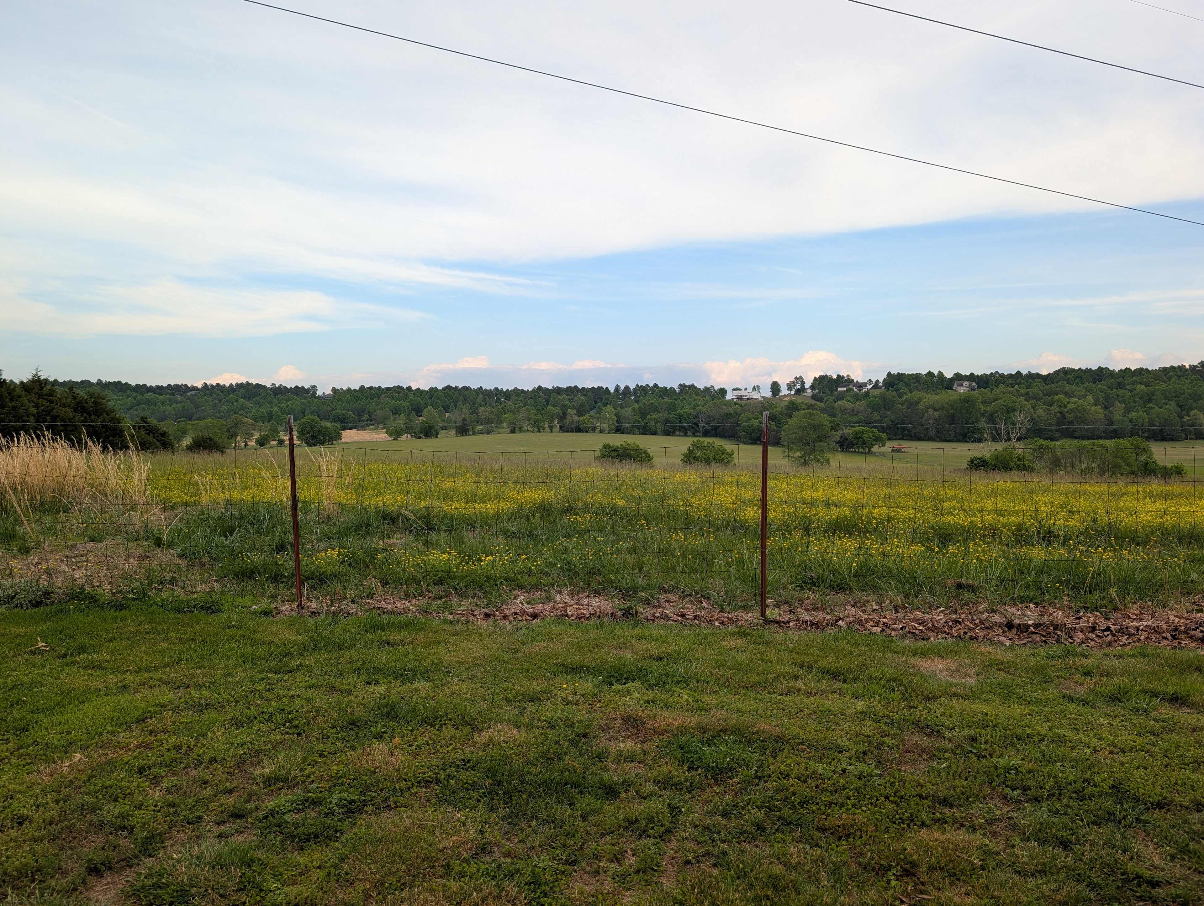 Field behind site