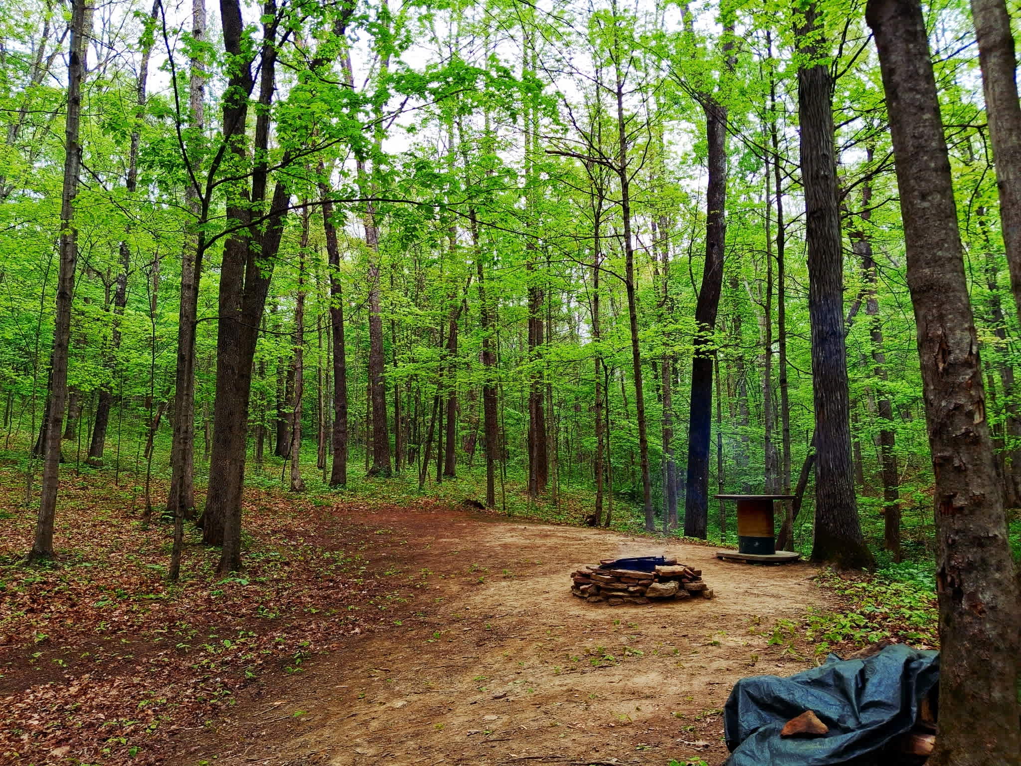 My Spot-Private Forest Campsite
