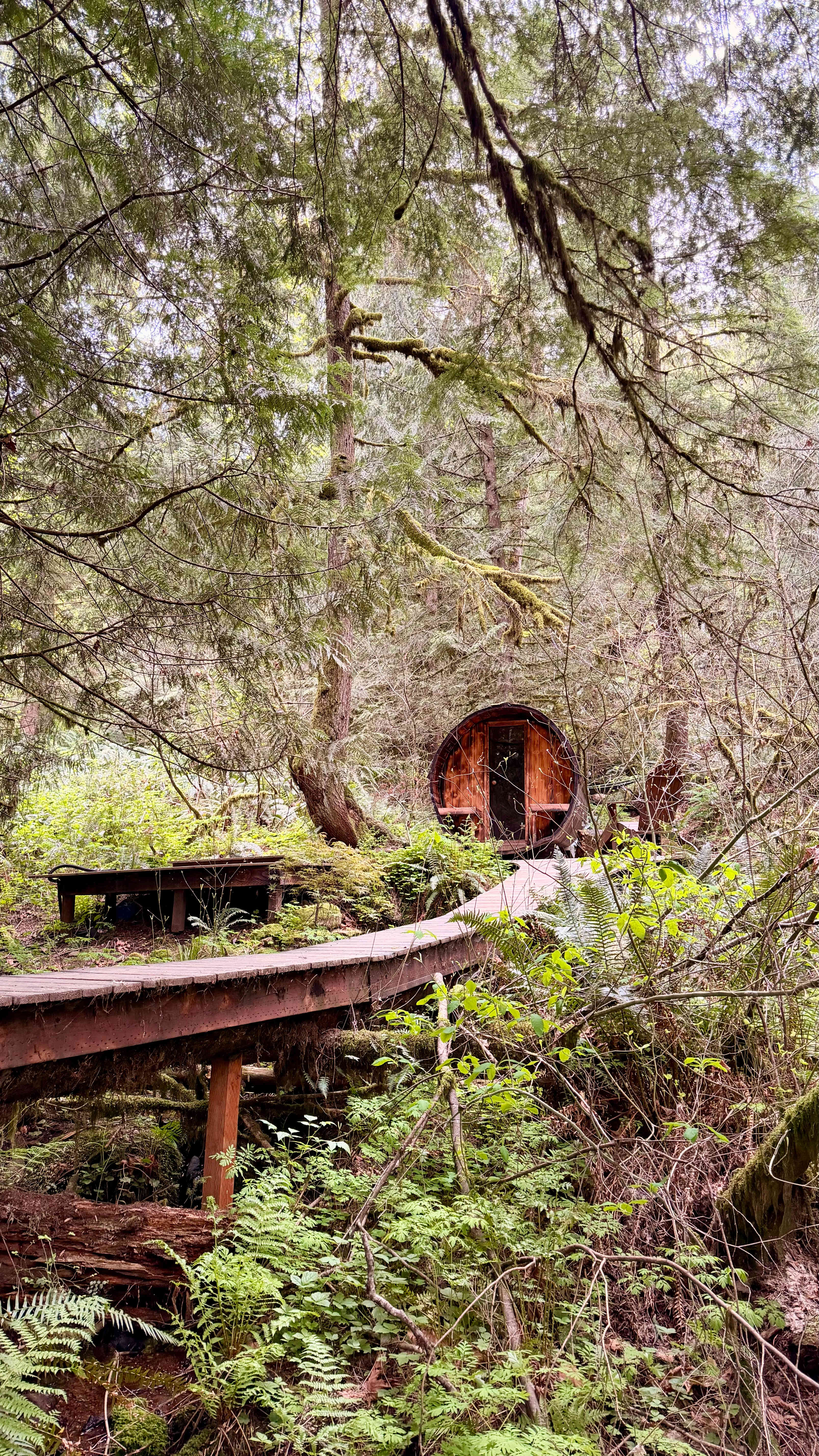 Action Sports Roamer Sites-Mt. Hood
